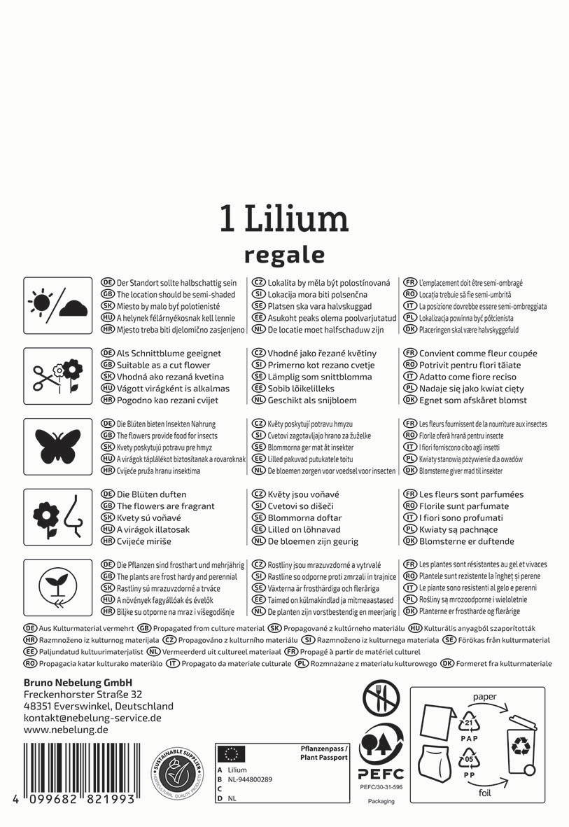 Anleitungstext, Pflanzenschnitt, Symbolkarten, Herstellerinformationen, Recycling- und Verpackungssymbole.
