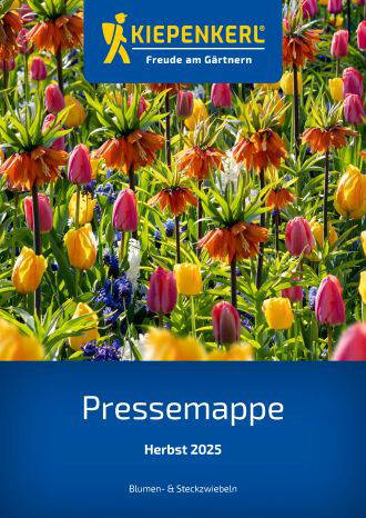 Bunte Frühlingsblumen Tulpen, Narzissen und Hyazinthen vor einem blauen Kiepenkerl-Logo im Garten
