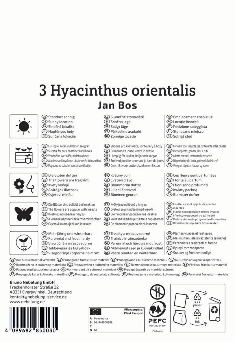 Pflegehinweis für Hyacinthus orientalis, sonnig, duftend, geeignet für Töpfe, Container, Boxen.