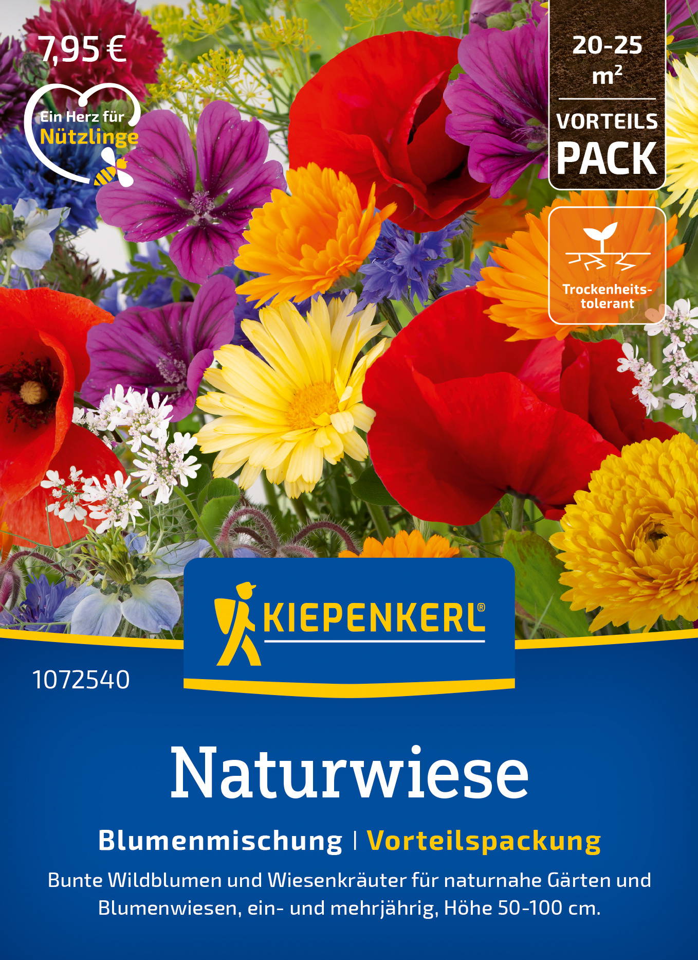 Blumensamen-Mischung Naturwiese, Vorteilspackung
