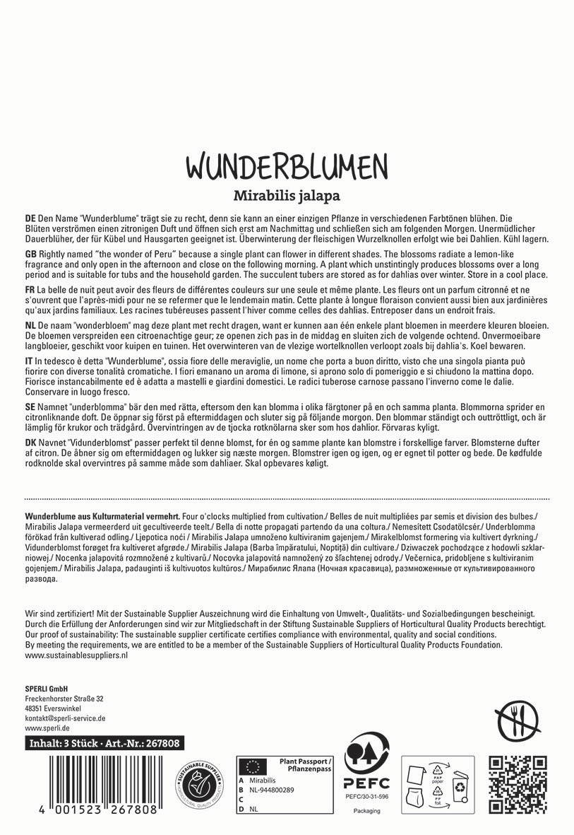 Text auf einer Verpackungsrückseite mit Beschreibungen und Pflegehinweisen zu Mirabilis jalapa.