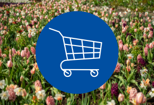Ein blauer Kreis mit dem Symbol einem Einkaufswagen befindet sich auf einem Hintergrund mit einer bunten Blumenwiese, auf der man Tulpen, Hyazinthen und Narzissen in lila, rosa und weiß