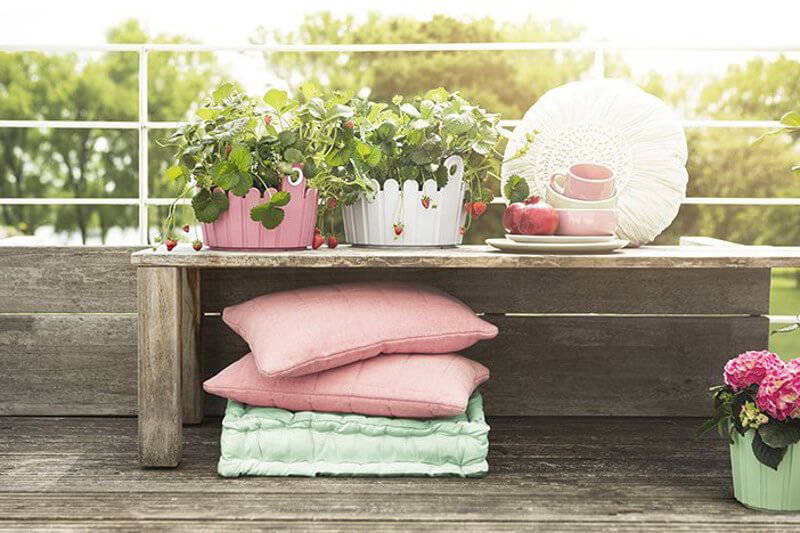 Blumen, Kissen, Teller, Tasse, Apfel auf Holzbank im Freien