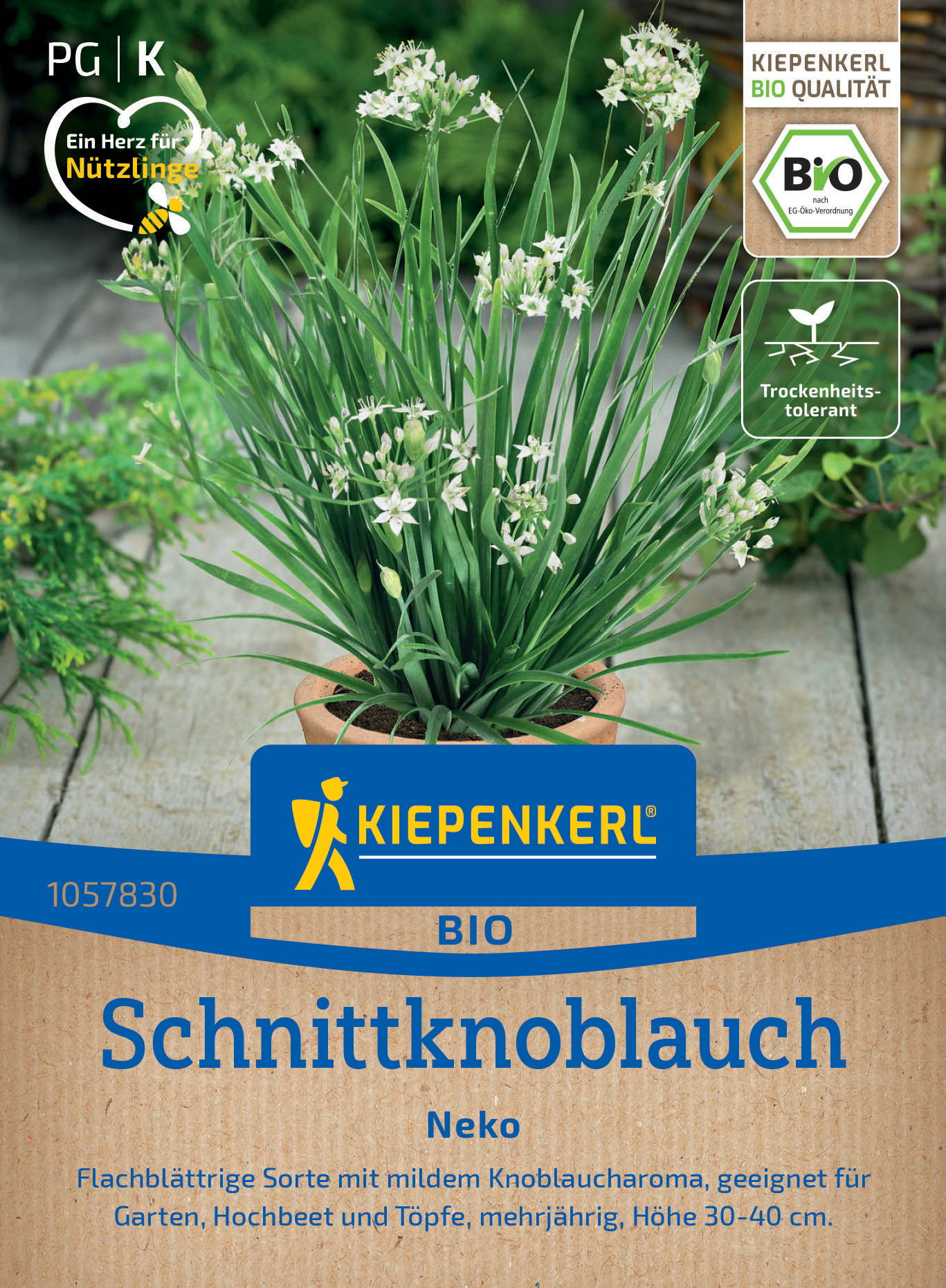 Kiepenkerl Bio Schnittknoblauch in einem Blumentopf mit weißen Blüten, auf einem Holzuntergrund.