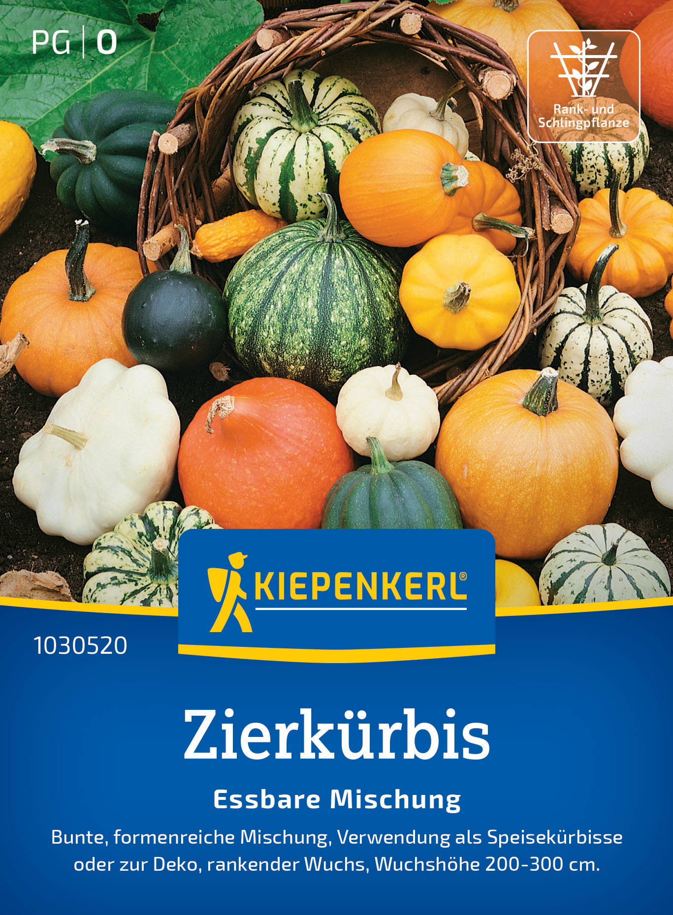 Zierkürbissamen Essbare Mischung