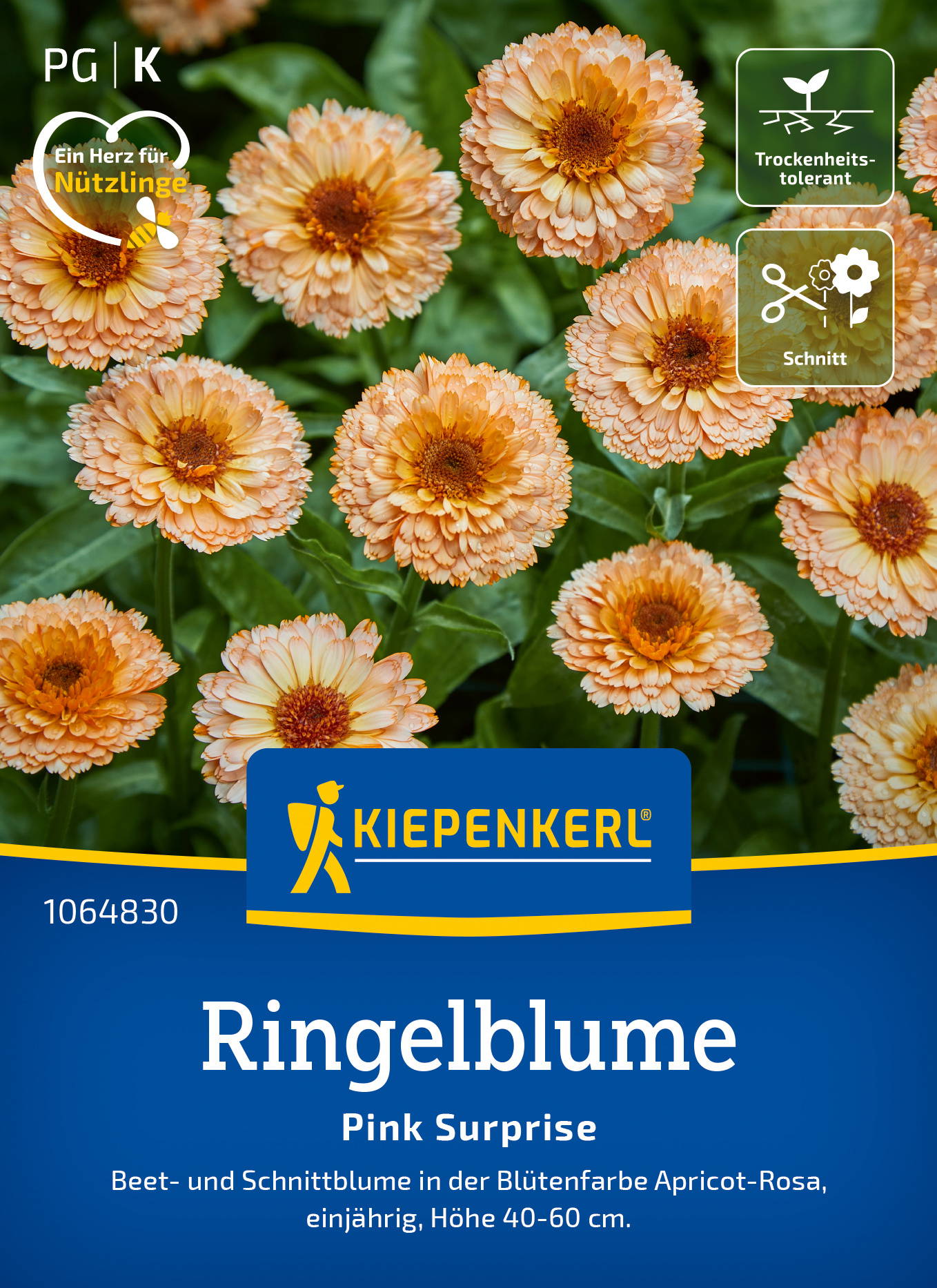 Ringelblumensamen Pink Surprise
