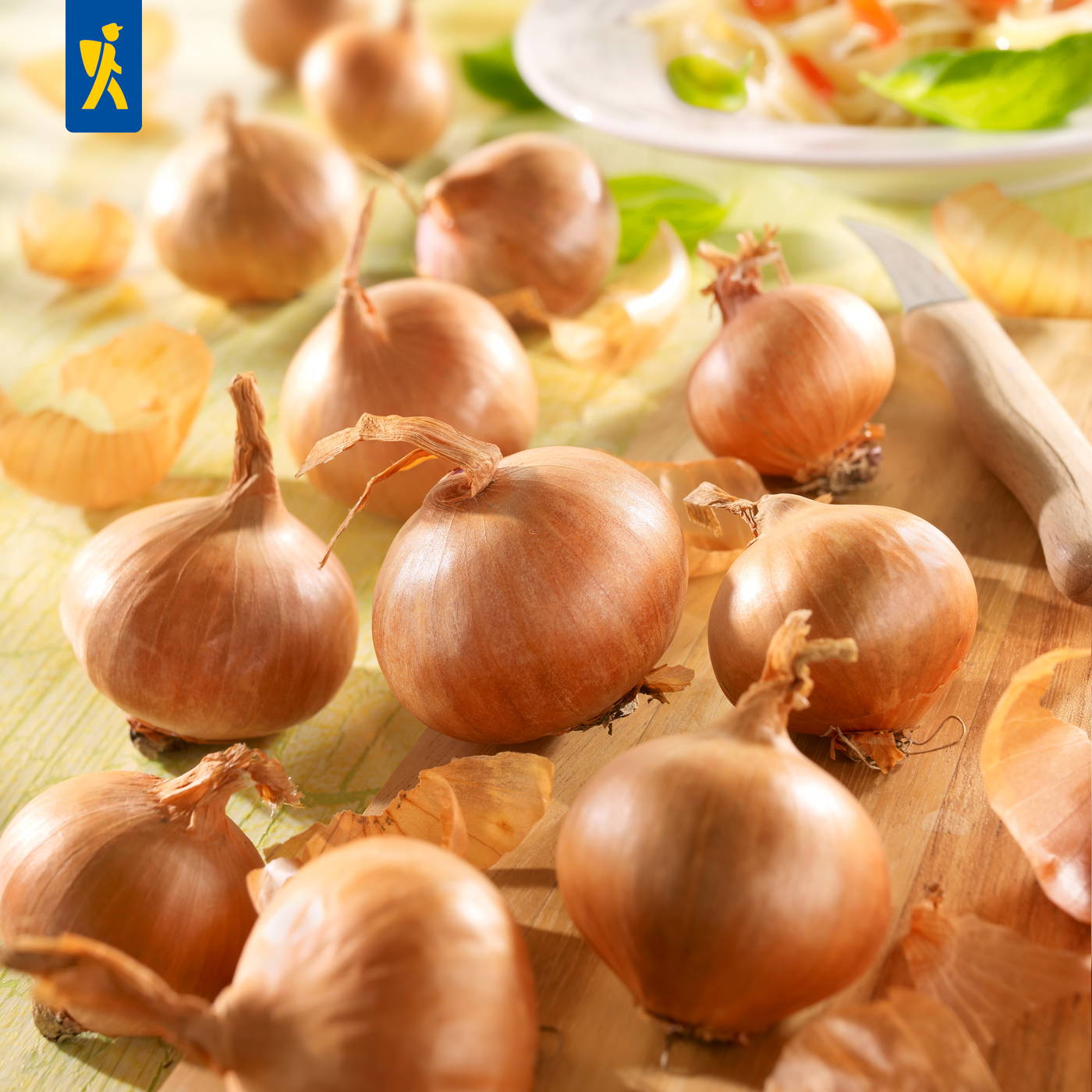 Zwölf Zwiebeln auf einem Holzbrett, einige Zwiebelhäute, im Hintergrund ein Messer und eine Schüssel mit Nudelsalat.