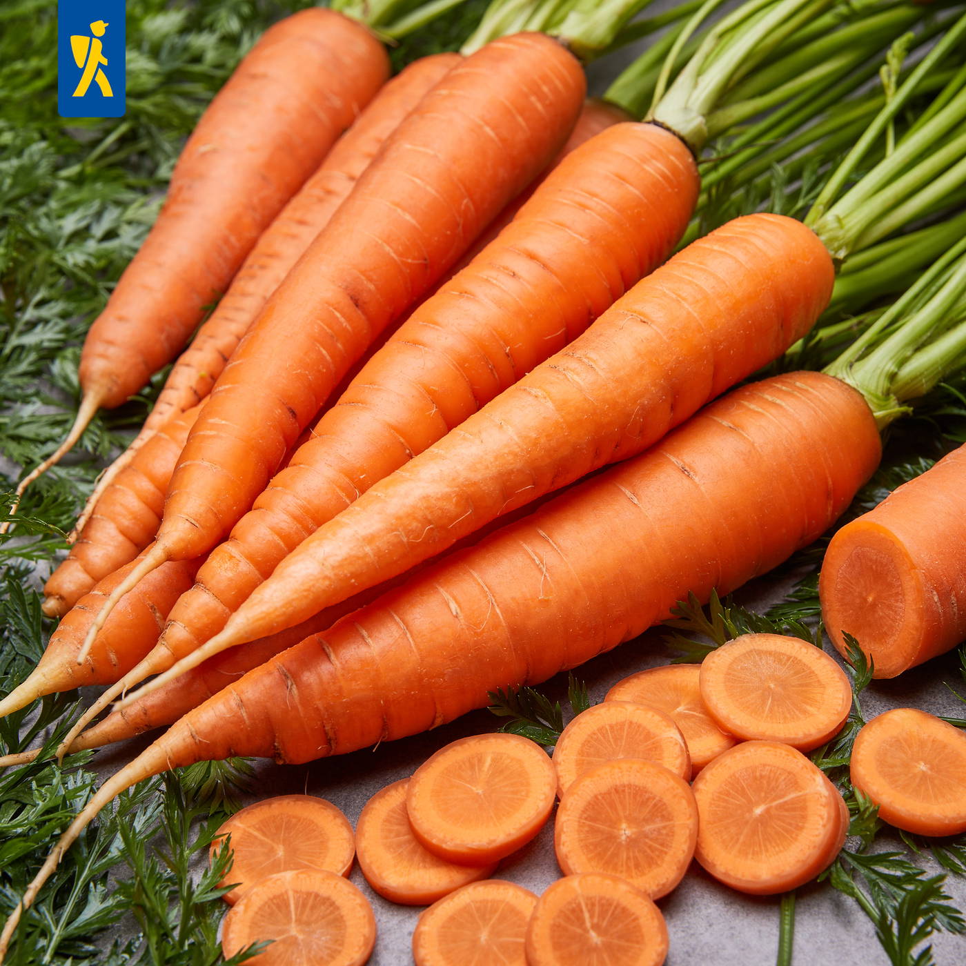 Mehrere Karotten mit grünen Blättern und einige in Scheiben schneiden.