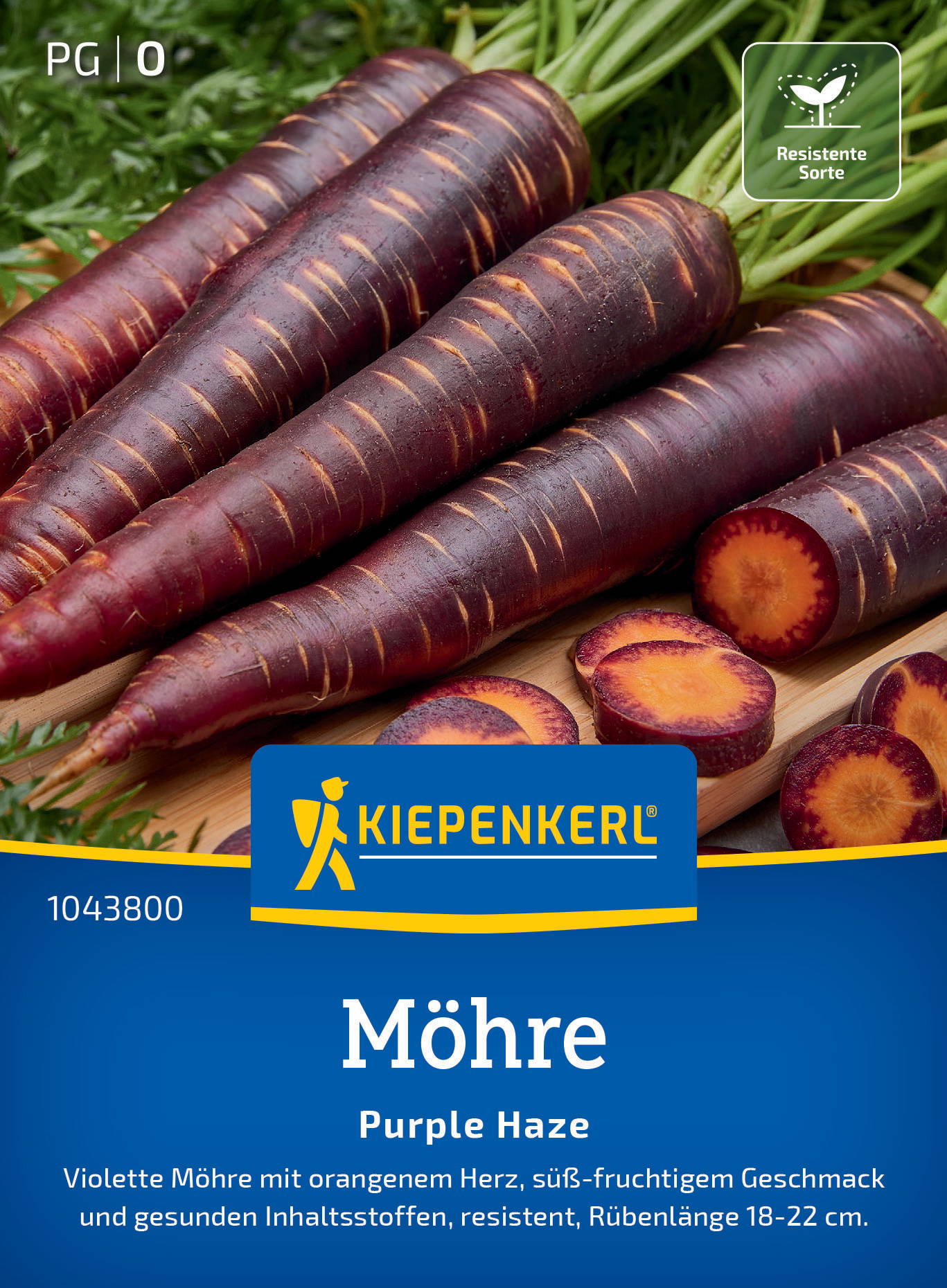 Möhrensamen Purple Haze, F1