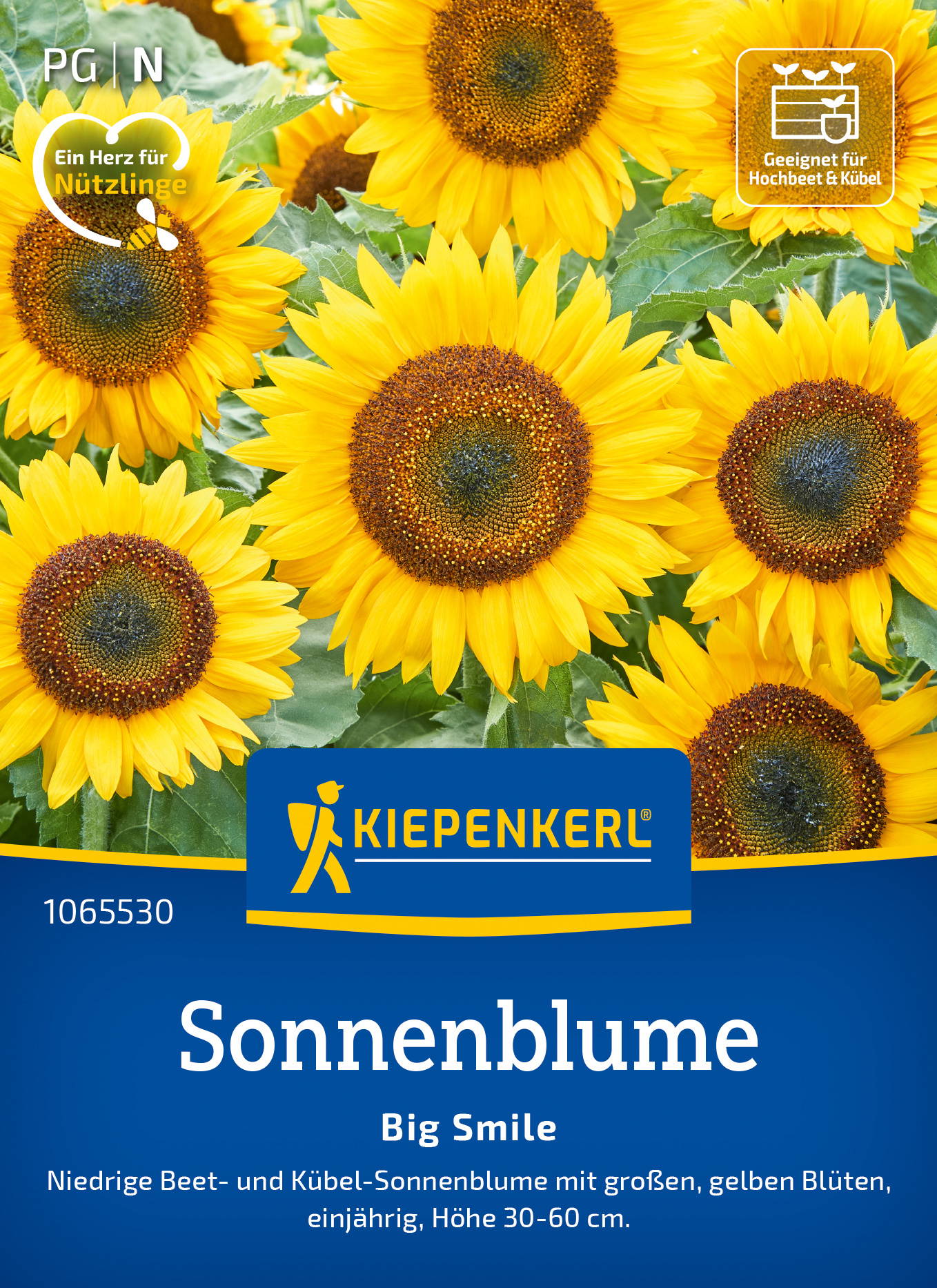 Gelbe Sonnenblumen mit großen Blüten und grünen Blättern, Pflanzenpackung, Kiepenkerl logo.
