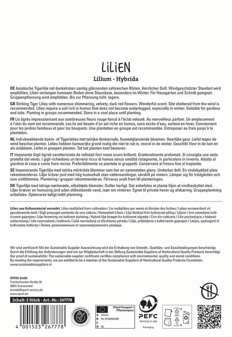 Text auf einer Verpackungsrückseite mit Informationen zu Lilien, Pflanzenpflege, Herkunft und Zertifizierungen.