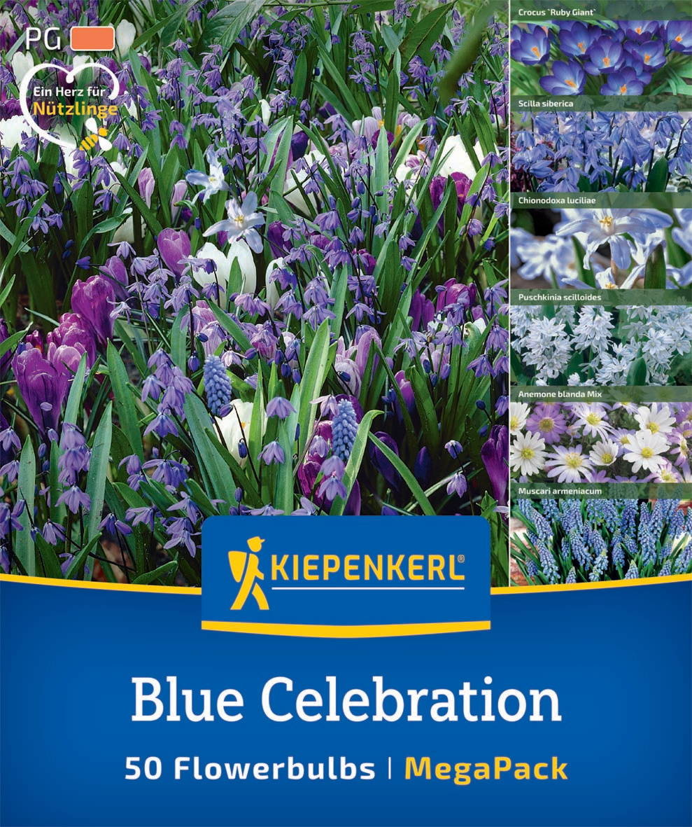 Bunte Blumenwiese mit blauen, weißen und lila Frühlingsblumen, Bepflanzung für Garten.