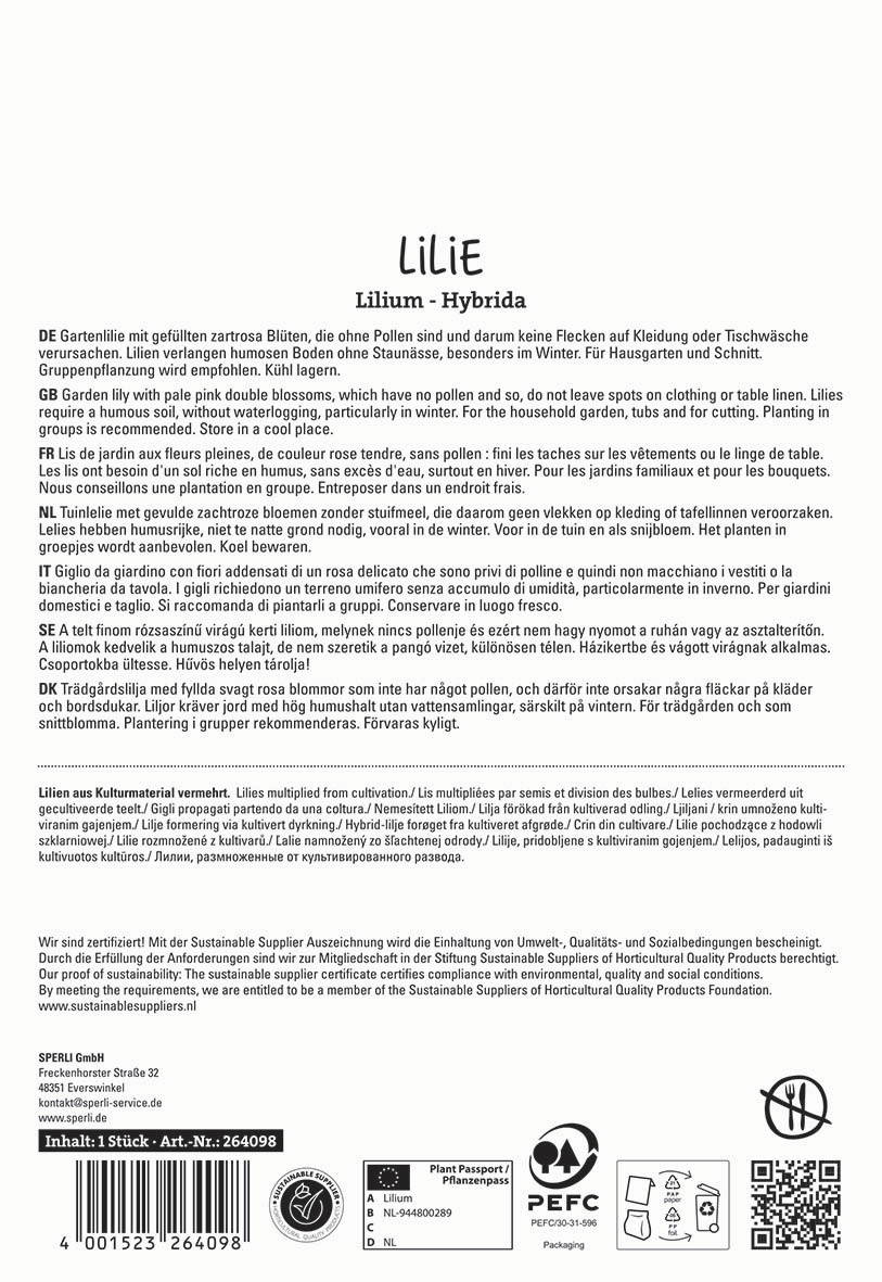 Gartenlilie mit gefüllten zartrosafarbenen Blüten ohne Pollenknoten auf weißem Hintergrund.