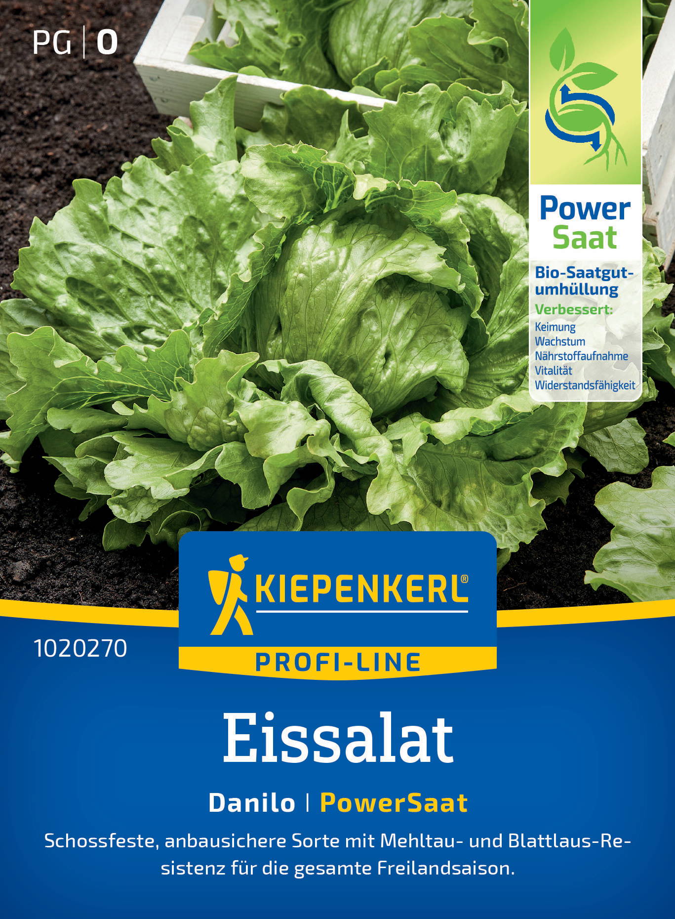 Grüner Eisbergsalat auf dunklen Erdboden mit Verpackungsdesign und Text auf der rechten Seite und unten.