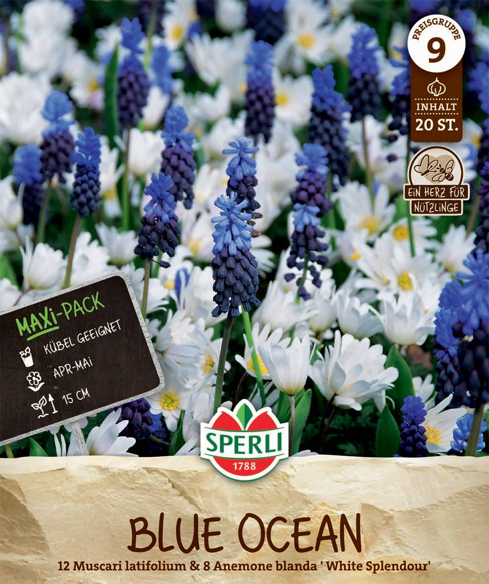 Maxi Blue Ocean Mischung