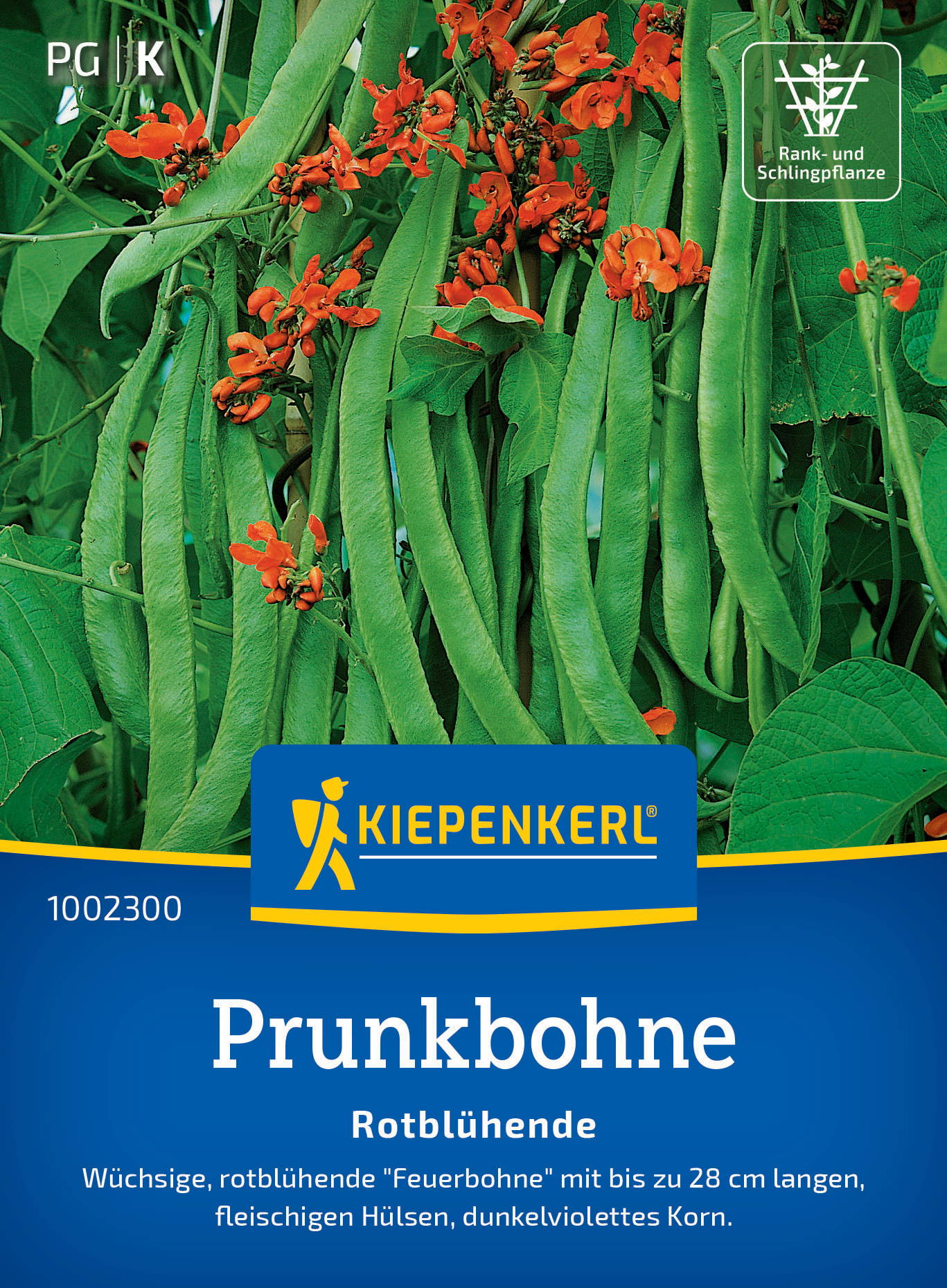 Pflaumengewächs mit länglichen grünen Hülsen und orangefarbenen Blüten.