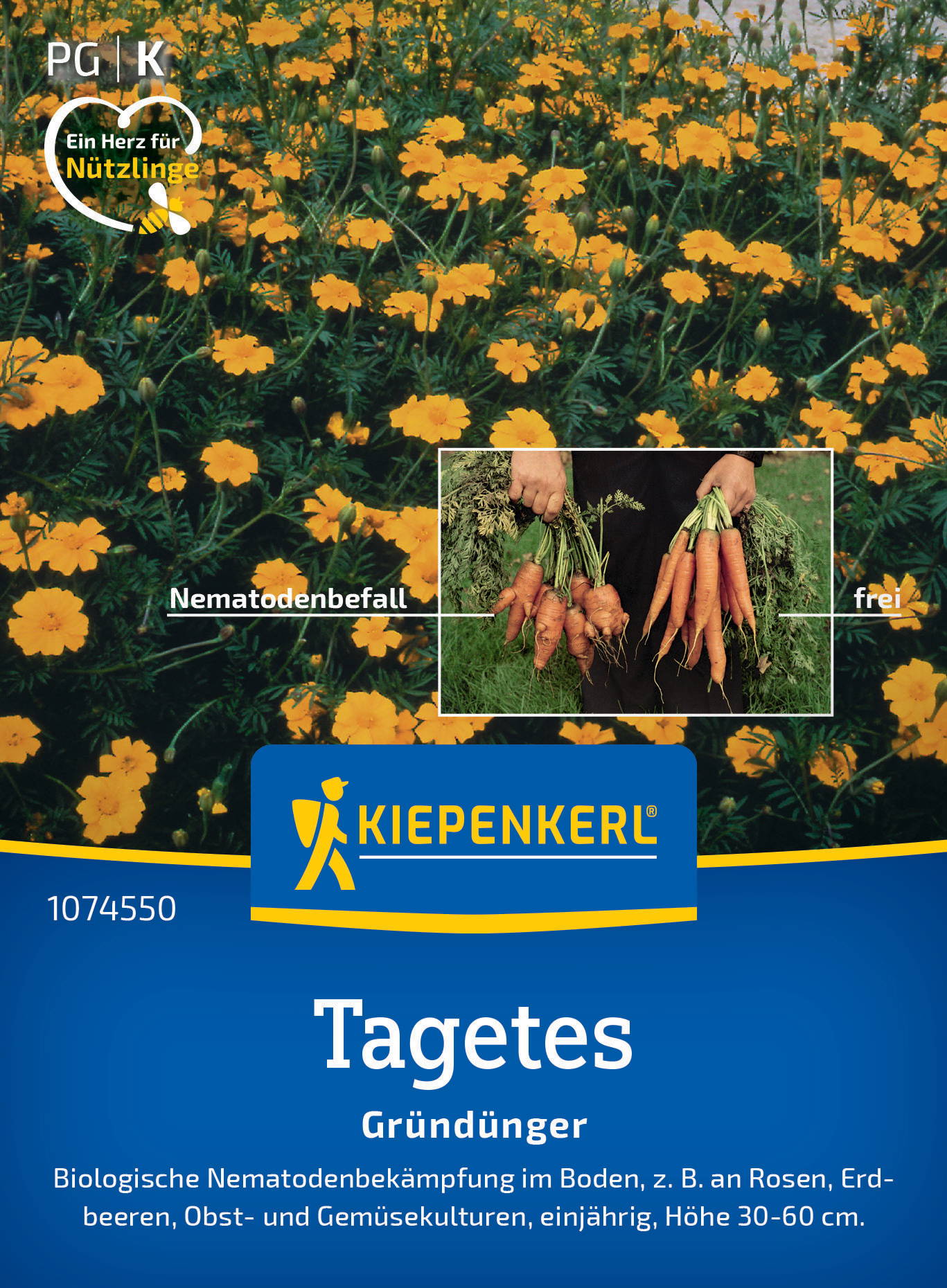 Banner mit gelben Blumen und Bild von einem Mann, der Karotten und Jungpflanzen hält.