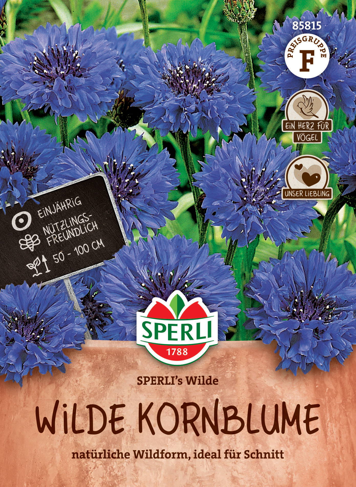 Wilde Kornblumensamen