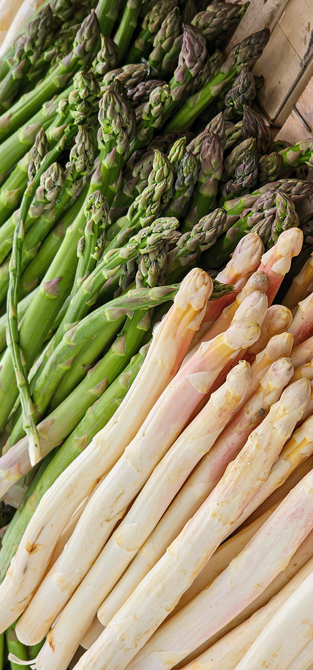 Frische grüne und weiße Spargelstangen auf einem Marktstand.