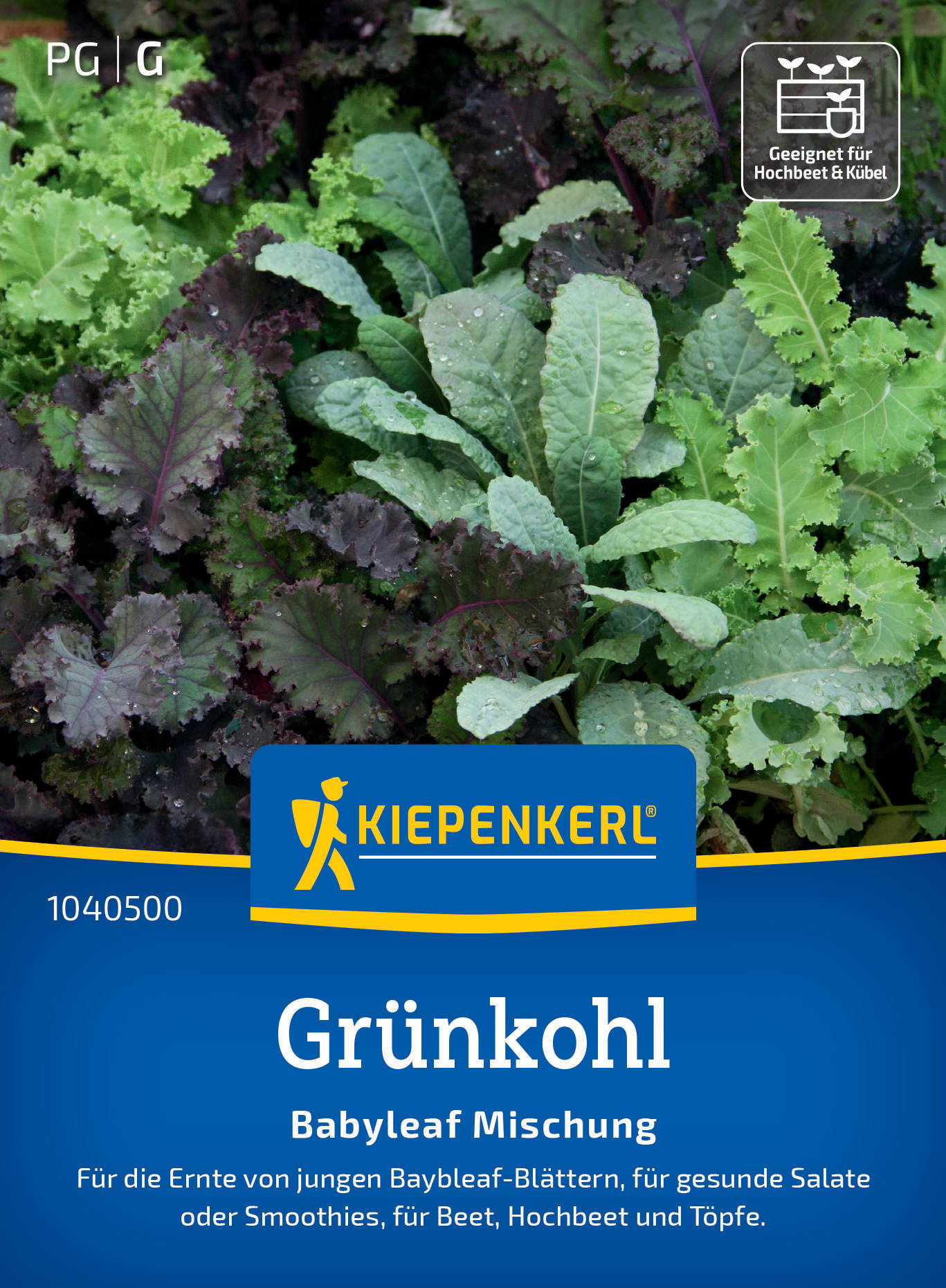 Grünkohlsamen Babyleaf Mischung