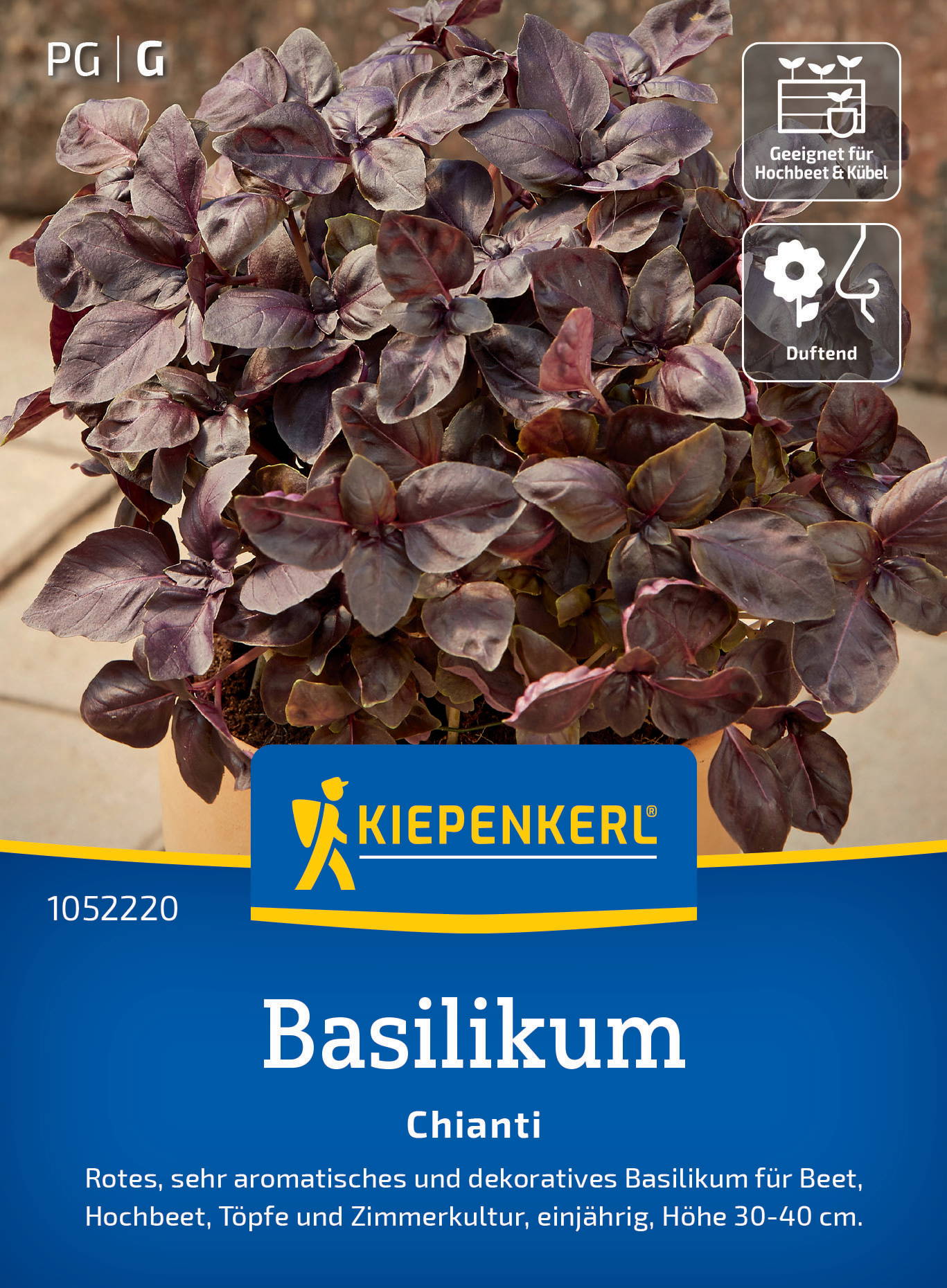 Bunte Basilikumpflanze im Topf auf Steinen, mit Pflegehinweisen und Logo auf Verpackung.