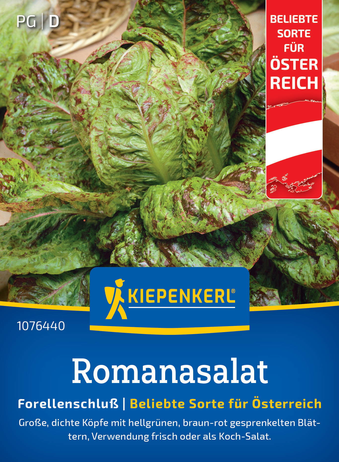 Große Romanaussaat mit hellgrünen, braun-roten, gesprenkelten Blättern, frisch oder zum Kochen.
