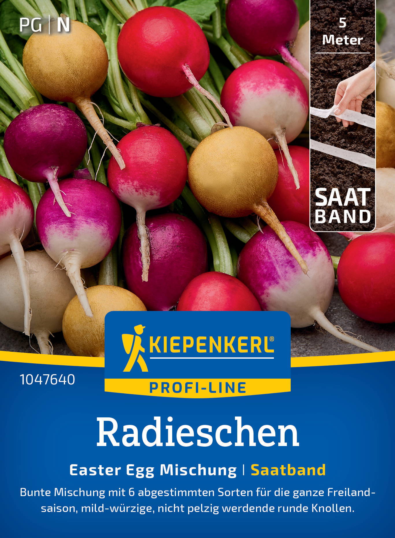 Bunte Radieschen mit grünen Stängeln, Mischung aus roten, pinken, weißen und gelben Knollen.