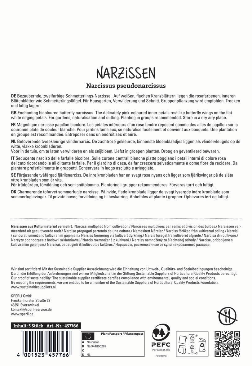 Narzisse mit rosa innere Petalen, weiße äußere Petalen, auf weißem Hintergrund.