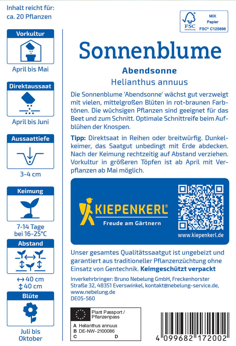 Sonnenblume Abendsonne, Helianthus annuus, wächst mit vielen Blüten, geeignet für Beet und Schnitt.