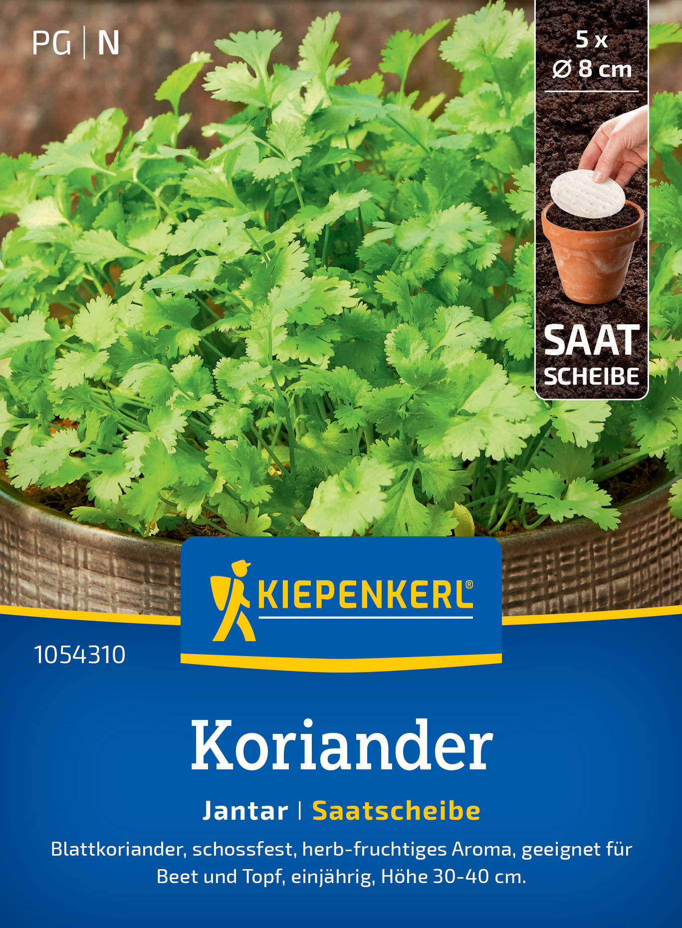 Koriandersamen Jantar, Saatscheibe