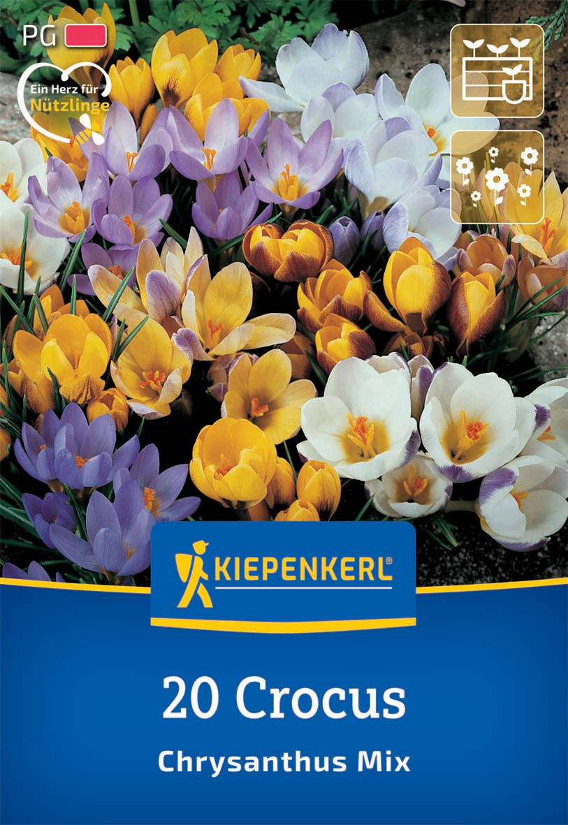 Bunte Crocus-Blumen in gelb, lila, weiß und violett auf Erde, Verpackung mit Markenname, Blumensamen-Info und Logo.