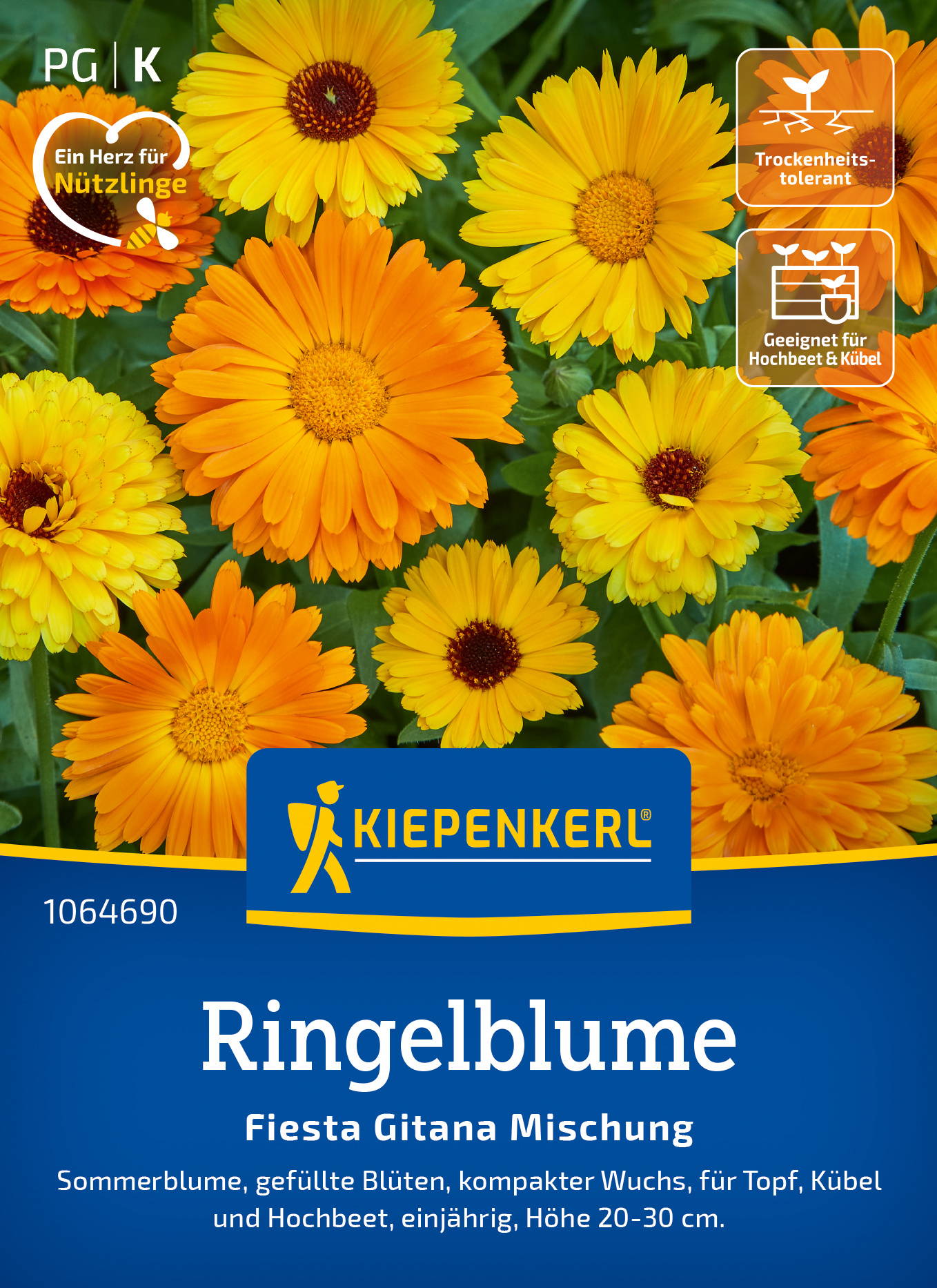 Ringelblumensamen Fiesta Gitana Mischung