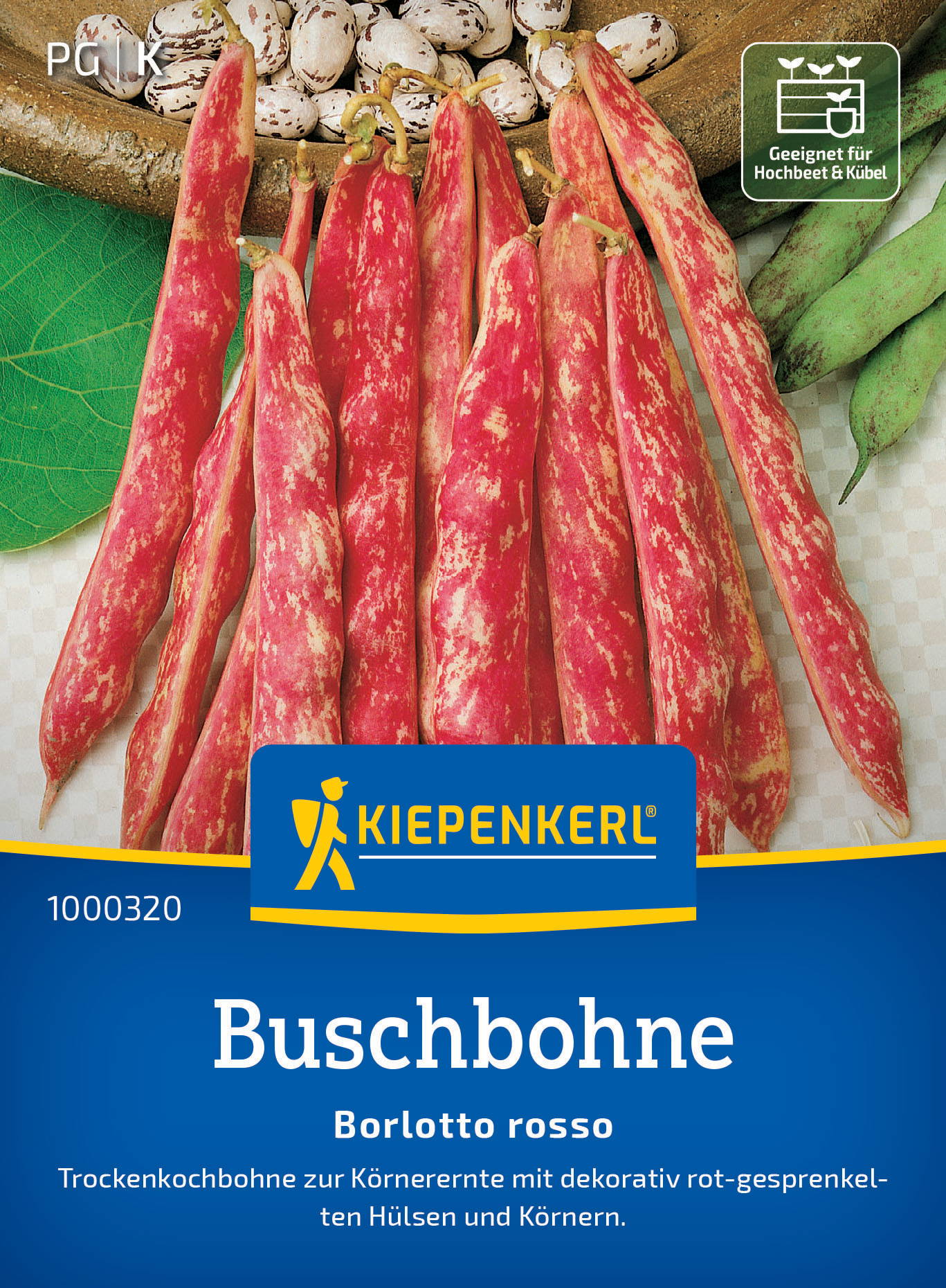 Buschbohnensamen Borlotto Rosso