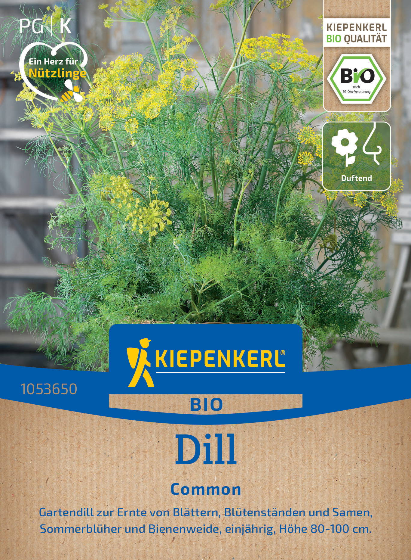 BIO Dillsamen Einjähriger