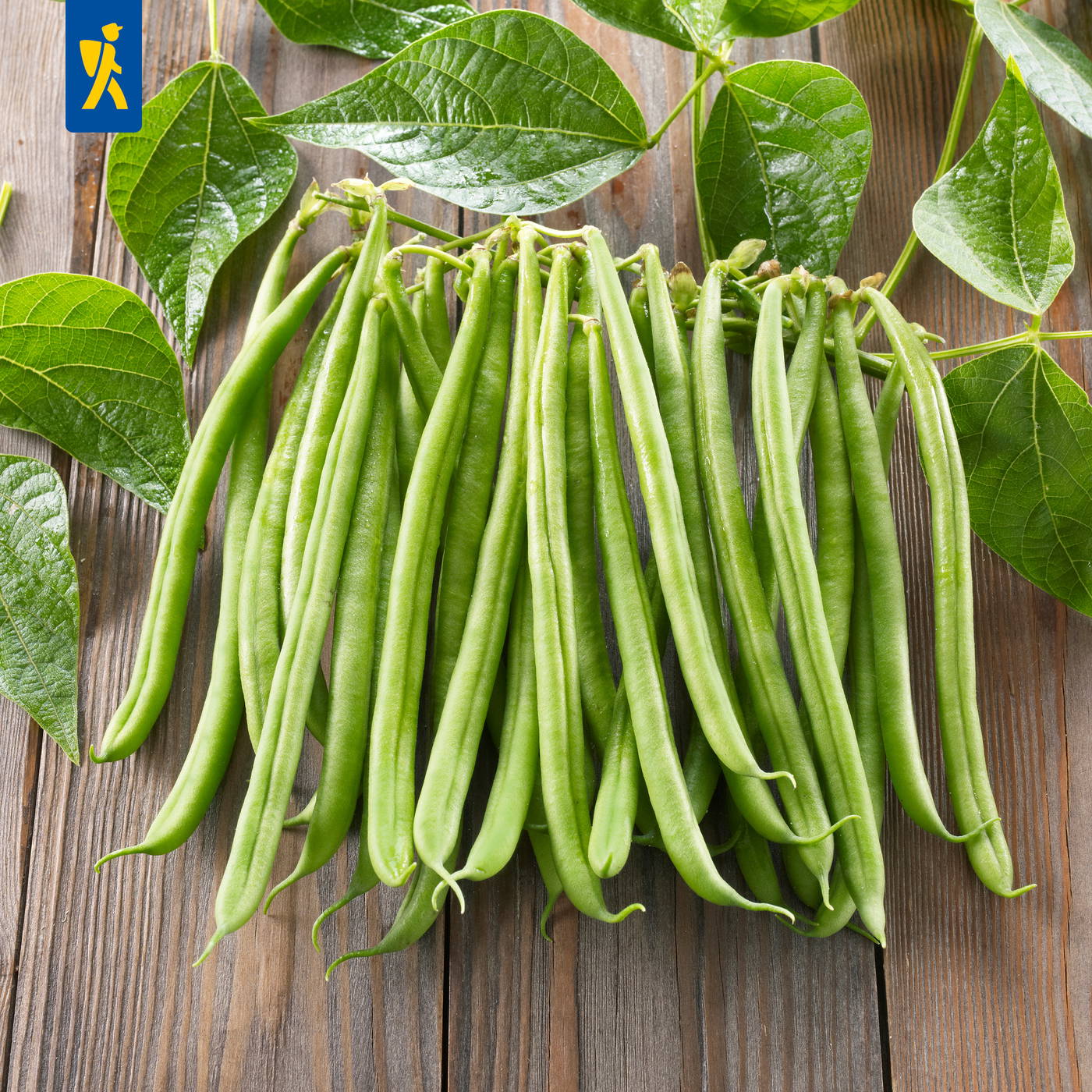 Bohnen mit grünen Blättern auf Holzuntergrund.