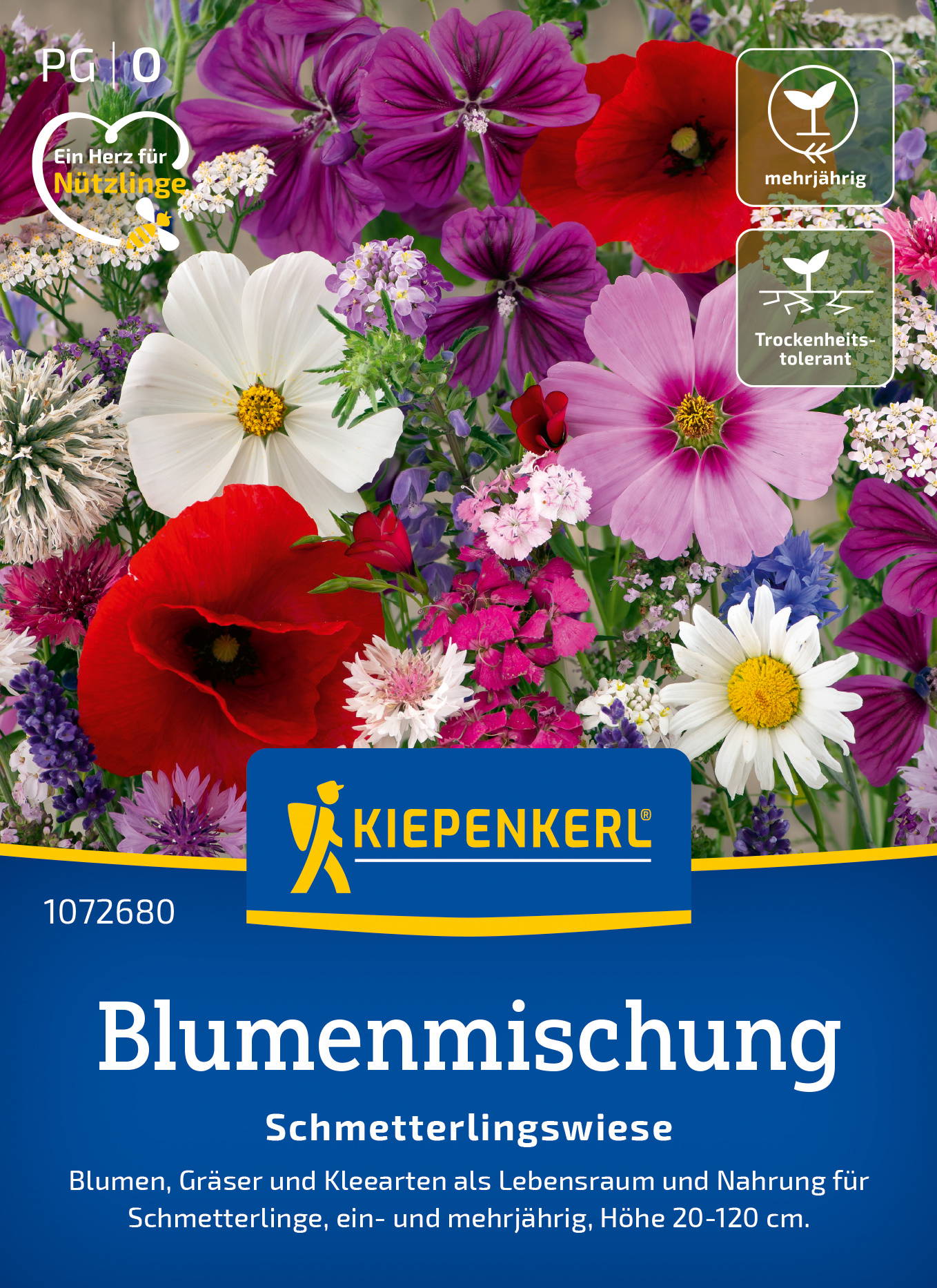 Blumensamen-Mischung Schmetterlingswiese