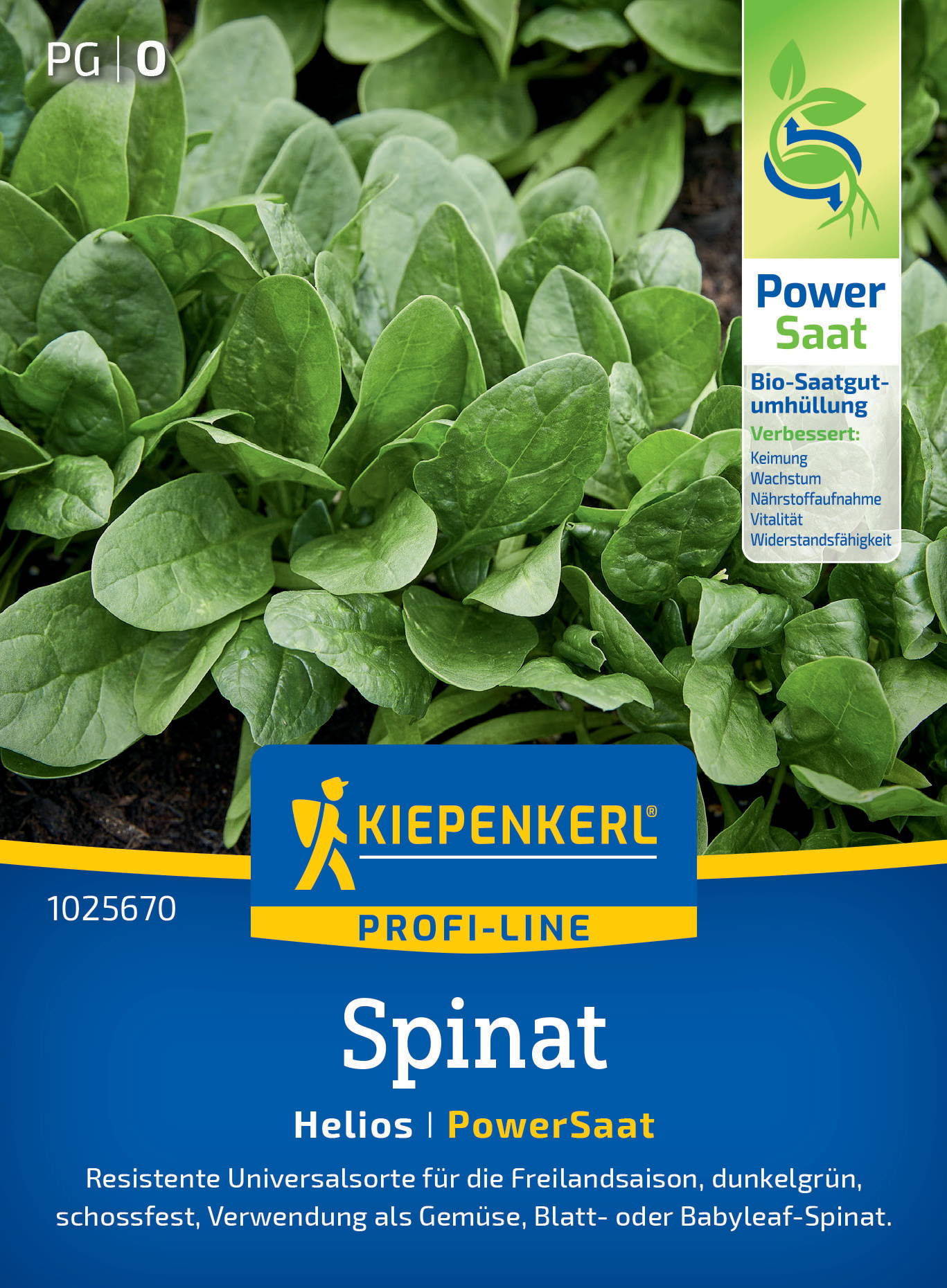 Junge grüne Spinatblätter auf dunkler Erde neben einem Kiepenkerl Saatgutlogo.