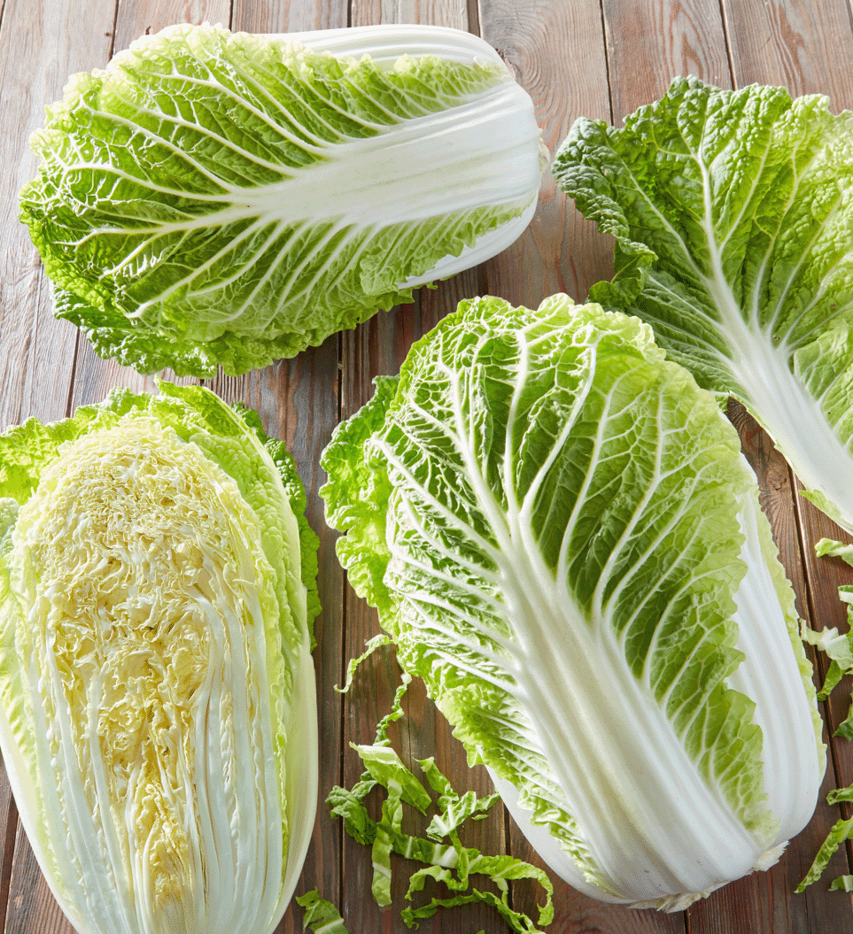Mehrere chinakohl Blätter liegen auf Holztisch, teilweise noch am Strunk und mit kleinen Rippchen.