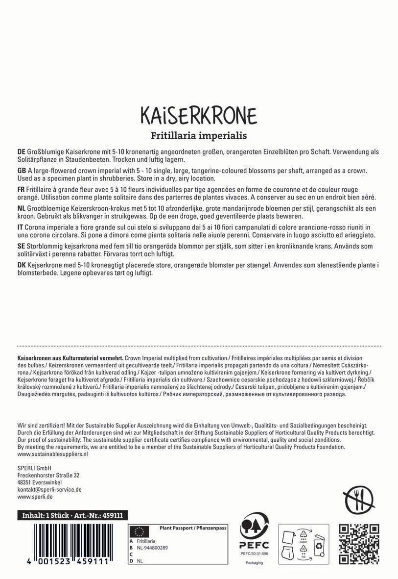 Großblumige Kaiserkrone mit orangefarbenen Blüten auf Stängel, im Topf.