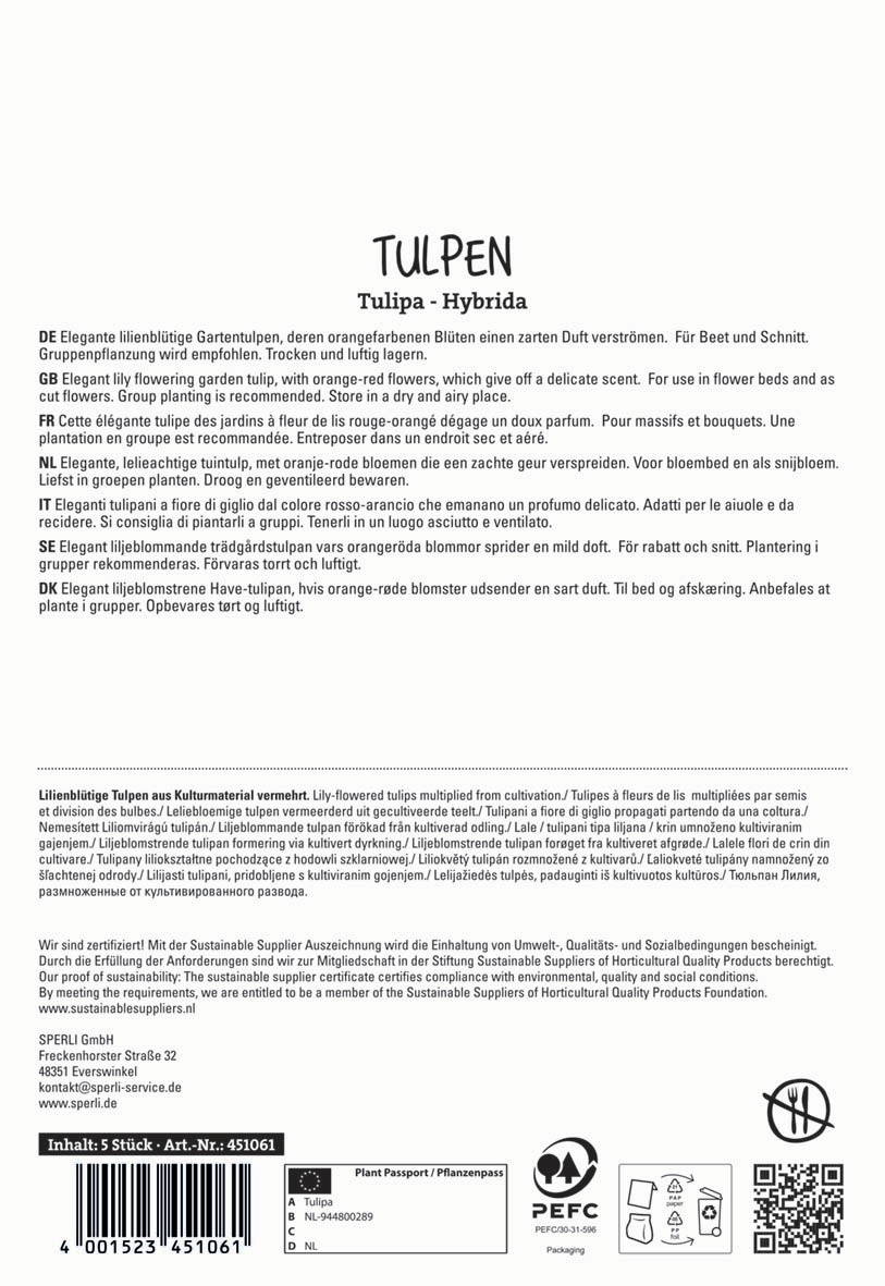 Lilienblütige Tulpen aus Kulturmaterial, orange-rote Blüten, für Schnitt und Beet, trocken lagern