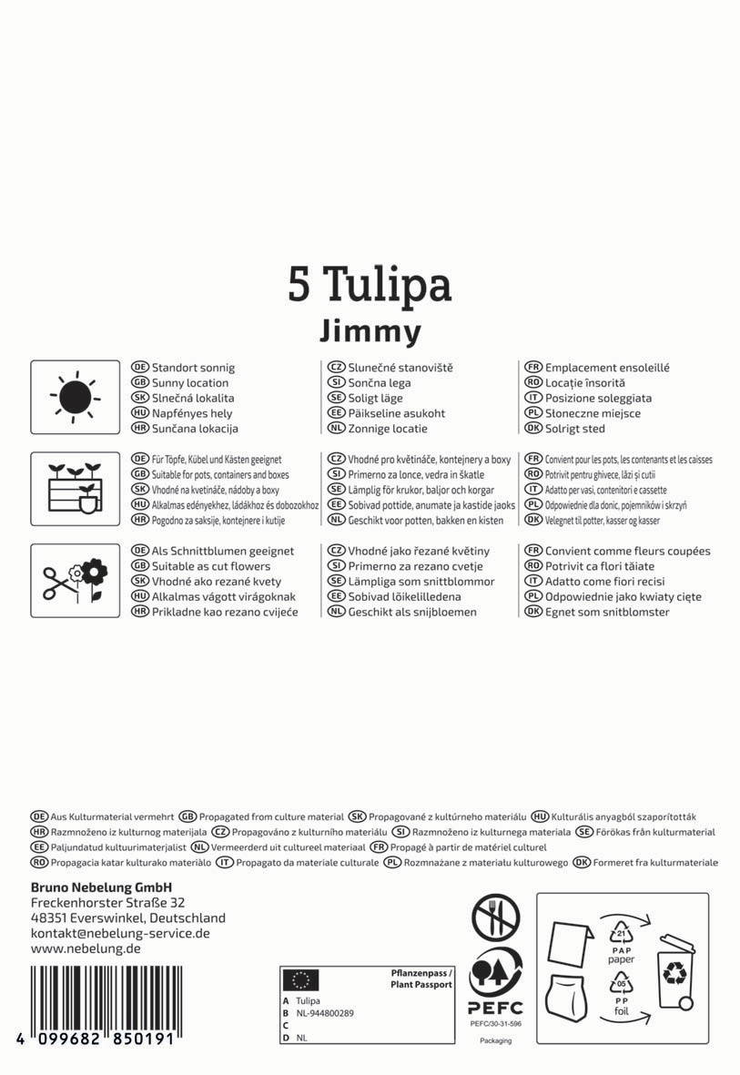 Fünf Tulpen, Name Jimmy, auf weißem Hintergrund, deutsches und internationales Symbol zu Pflanzmaterial, Adresse.