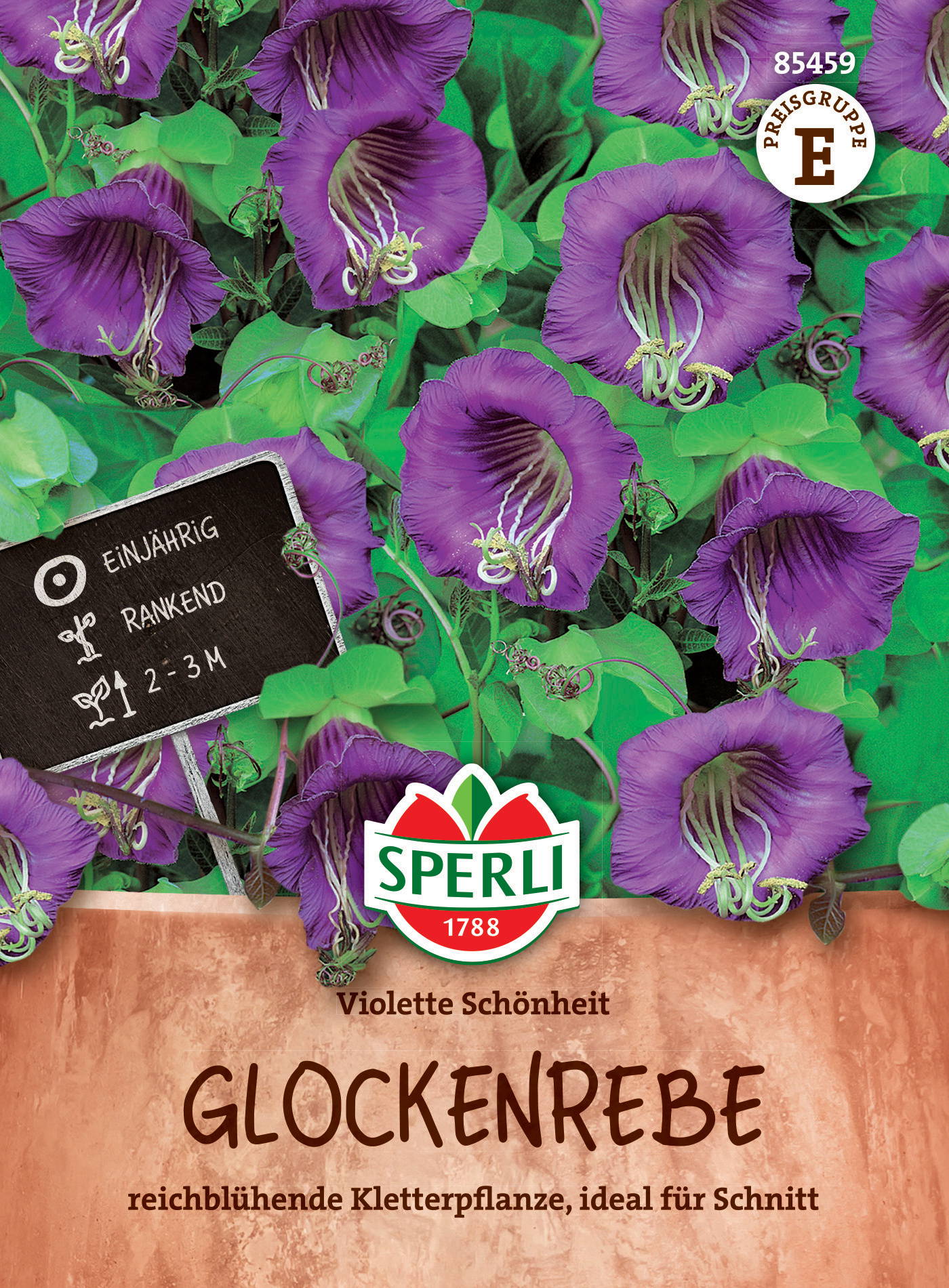 Lila Glockenreben mit grünen Blättern in Topf, Beschriftung und Logo auf der Verpackung