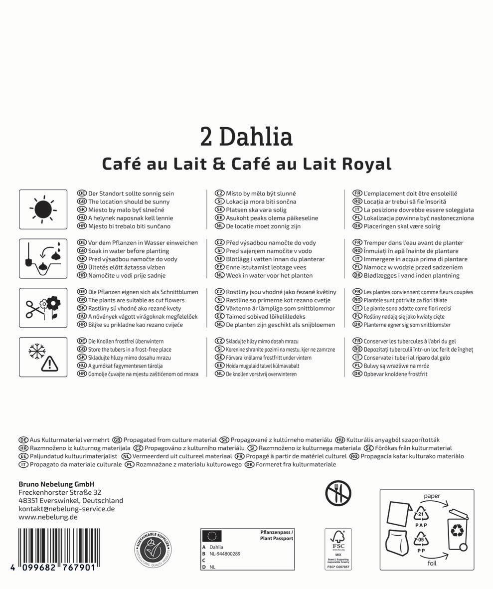 Anleitung mit Symbolen und Text in mehreren Sprachen, darunter Hinweise zum Wasser, Pflanzen, Frostschutz und Recycling.