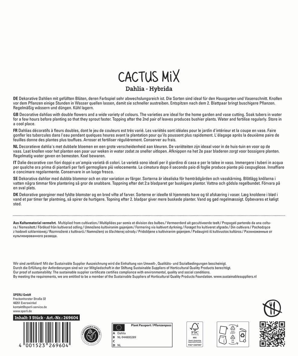 Bunte Dahlien mit gefüllten Blüten in verschiedenen Farben auf weißem Hintergrund mit Produktinformationen.