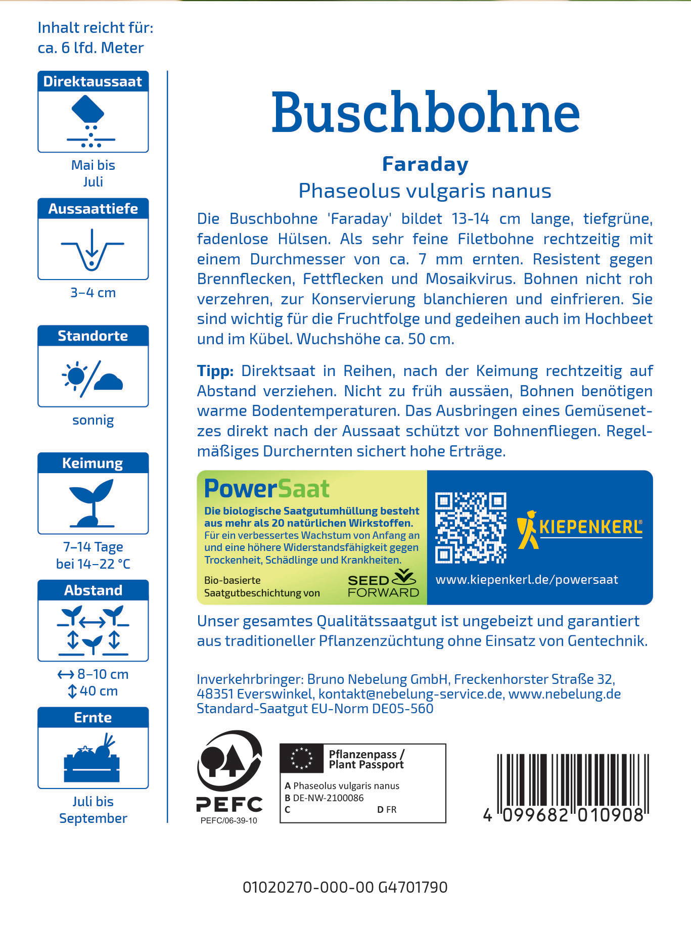 Büchbohne Faraday mit grünen Hülsen, im Boden, auf einem blauen Hintergrund.