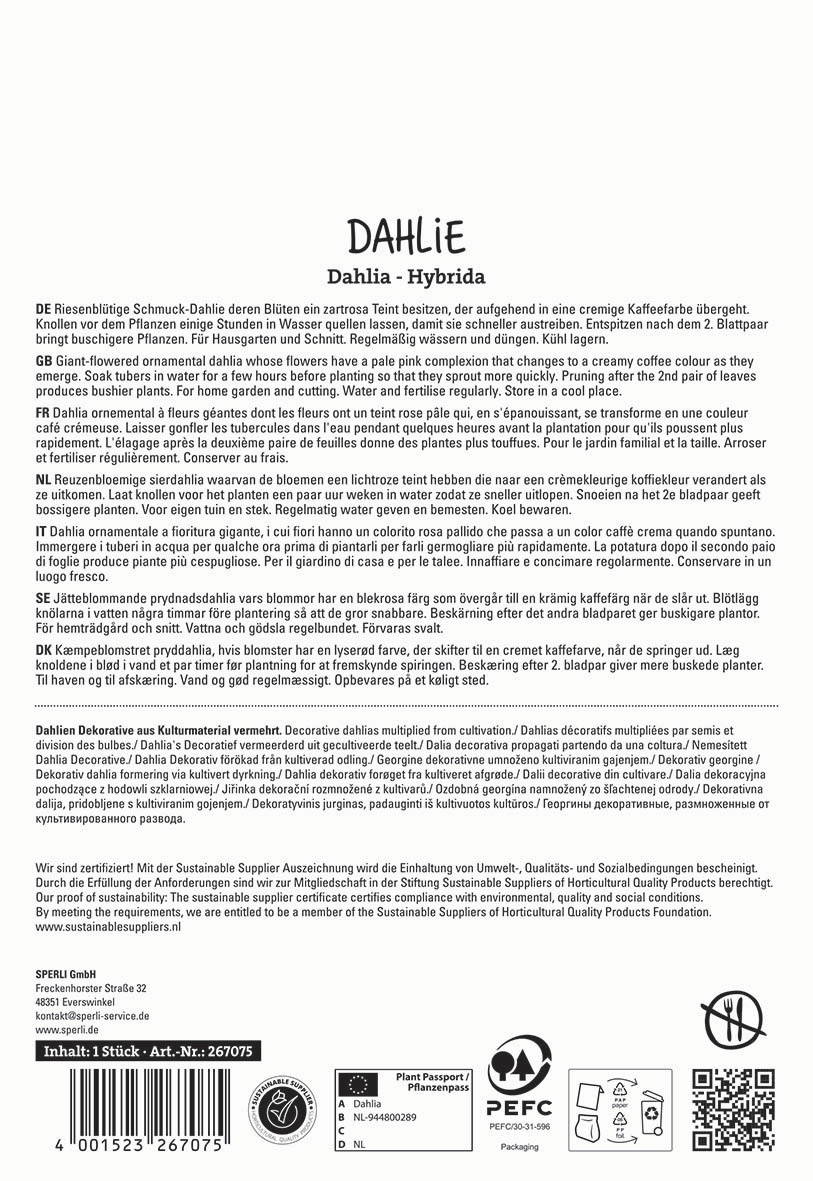 Anleitung zu Dahlia Hybrid, Beschreibung in mehreren Sprachen, inklusive Pflegehinweisen und Zertifizierungsdetails.