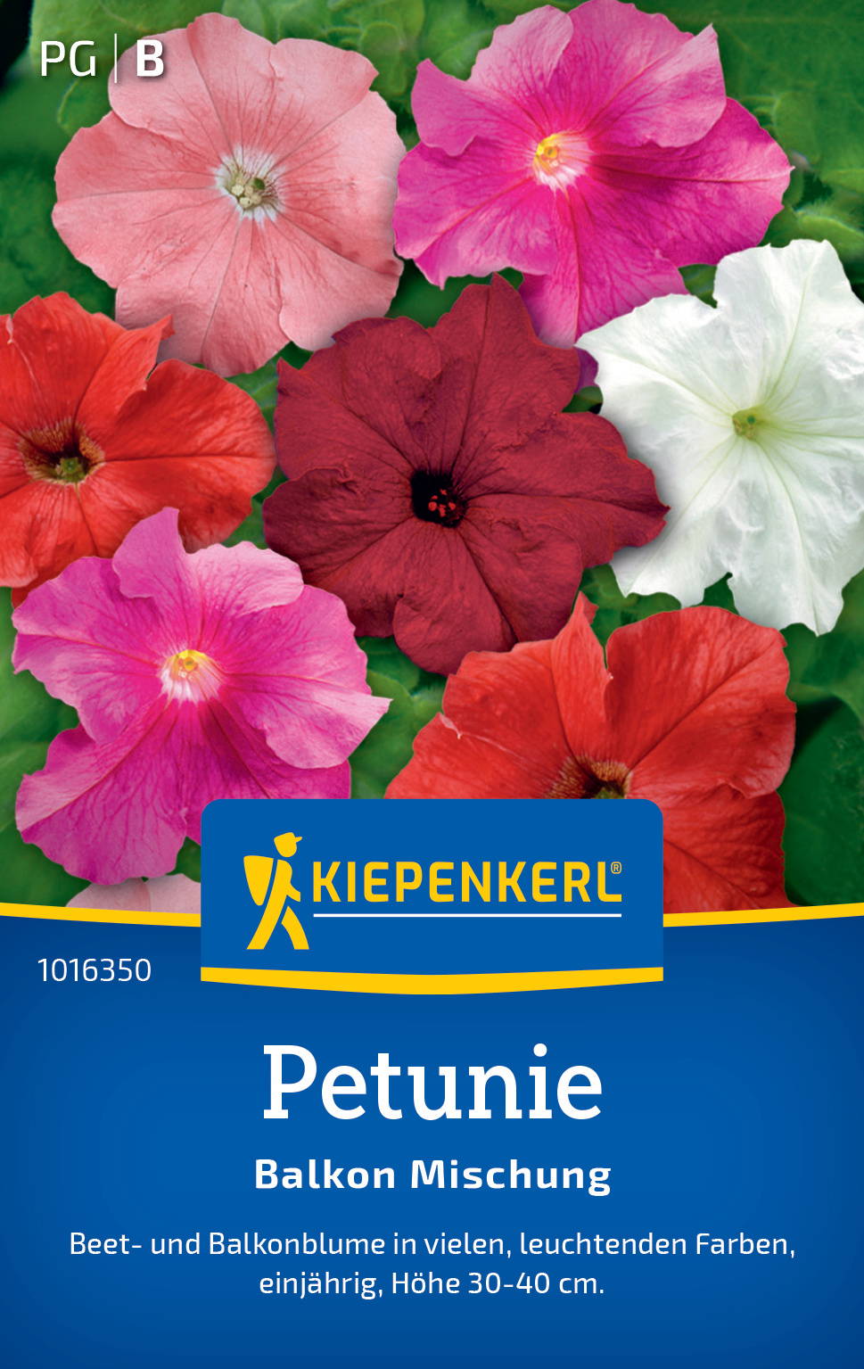 Verschiedene Petunienblumen in bunten Farben auf dem Pflanzenetikett.