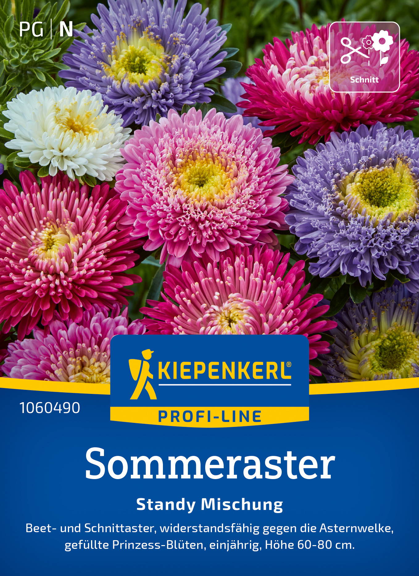 Sommerastersamen Standy Mischung