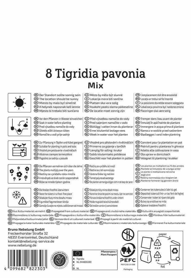 Zwei Pflanzen in Töpfen, Etikett, Schläuche, Wasser, Düse, Schaufel, Handschuhe, Gartenwerkzeug, Boden mit Erde.