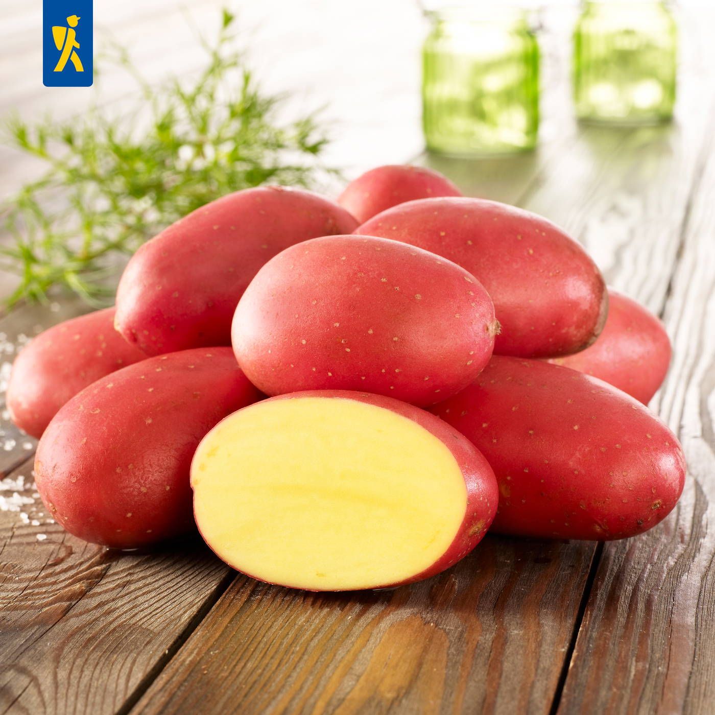 Haufen roter Kartoffeln auf einem Holztisch, eine halbierte zeigt das gelbe Innere, im Hintergrund grüne Gläser.